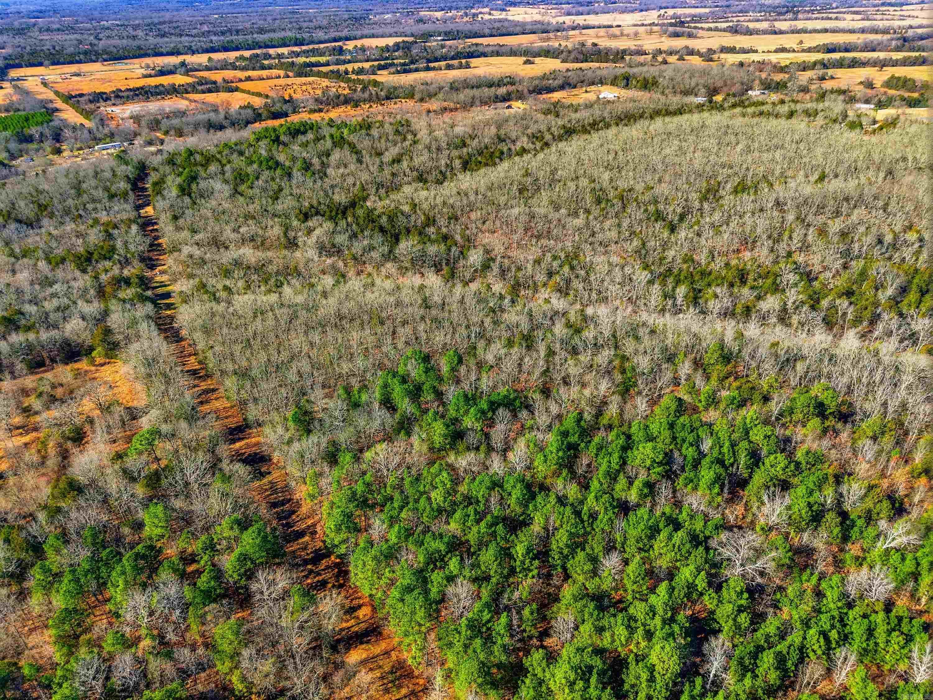 00 Manning  Mt. Vernon, AR