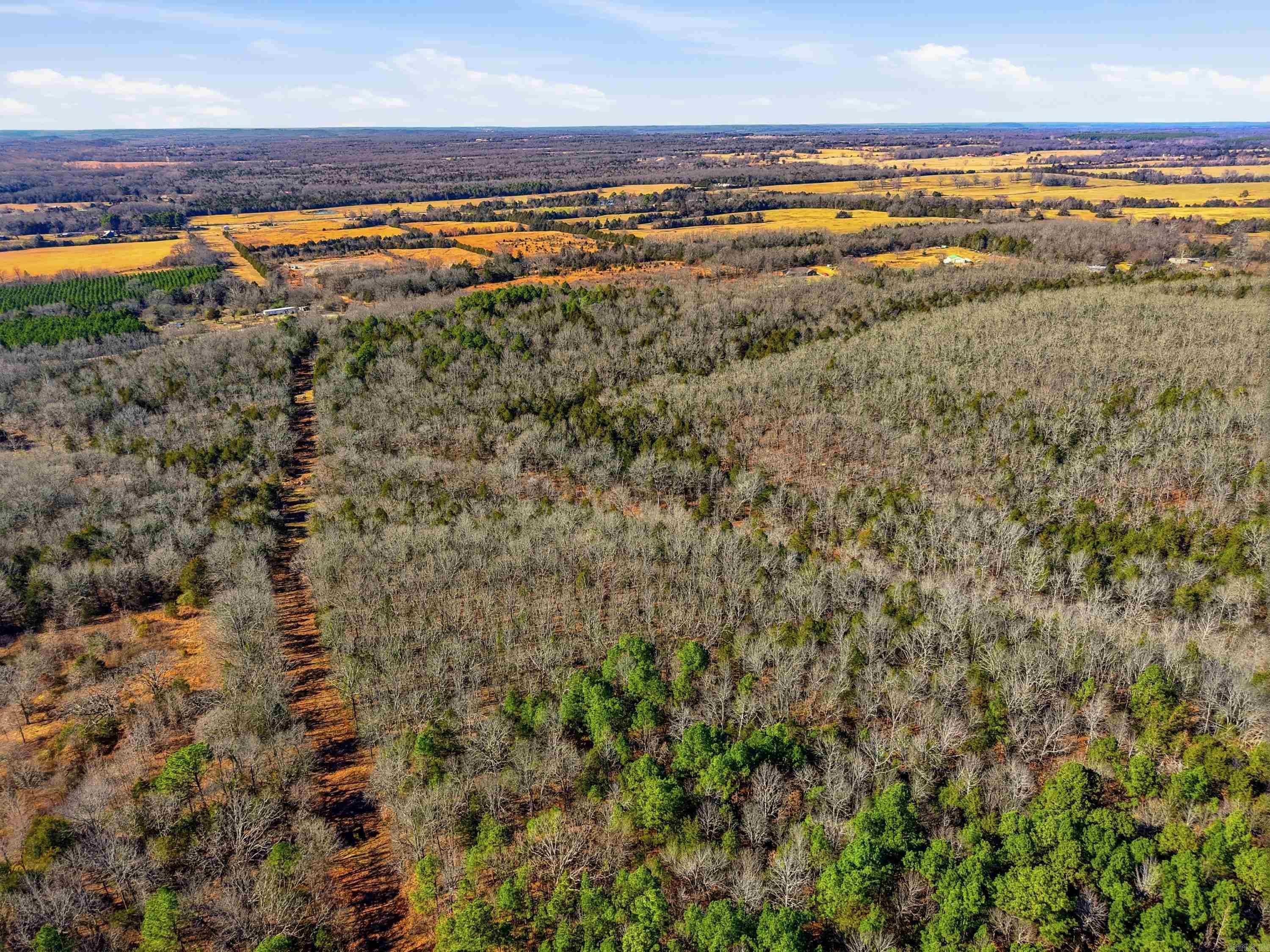 00 Manning  Mt. Vernon, AR