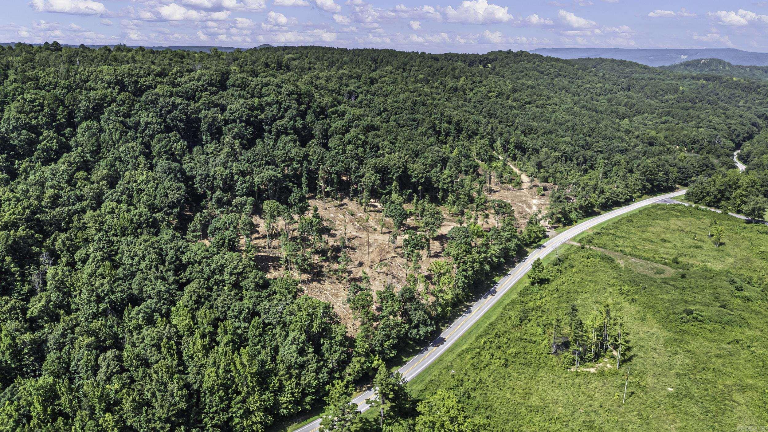 34 Acres Off SR 164 W  Dover, AR