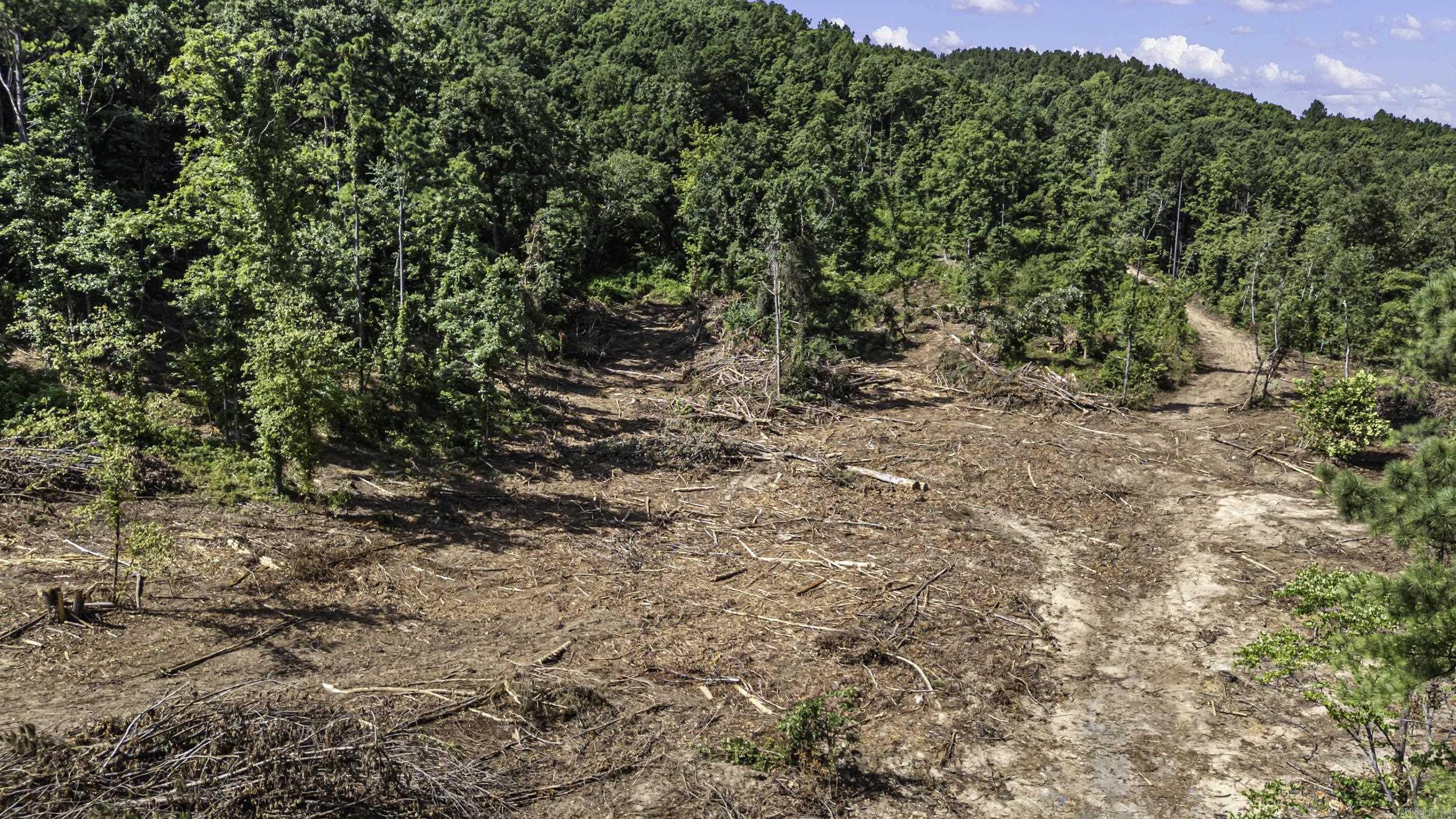 34 Acres Off SR 164 W  Dover, AR