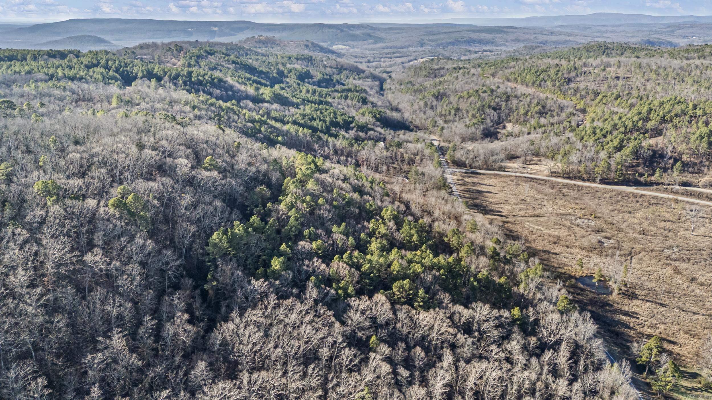 34 Acres Off SR 164 W  Dover, AR