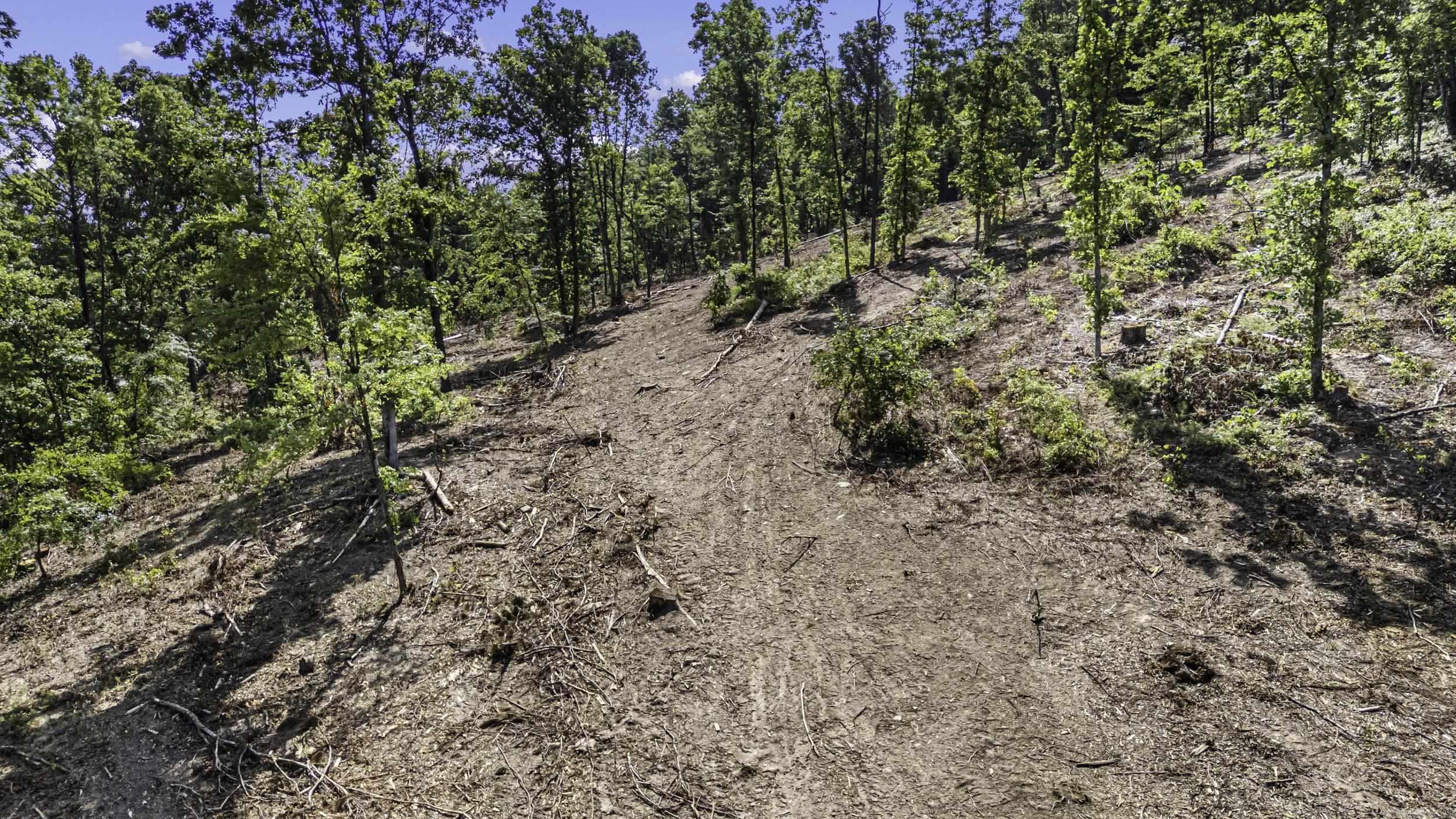 34 Acres Off SR 164 W  Dover, AR