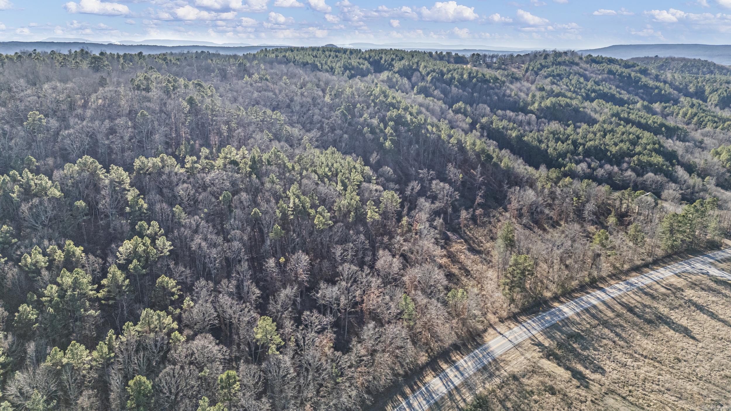 34 Acres Off SR 164 W  Dover, AR
