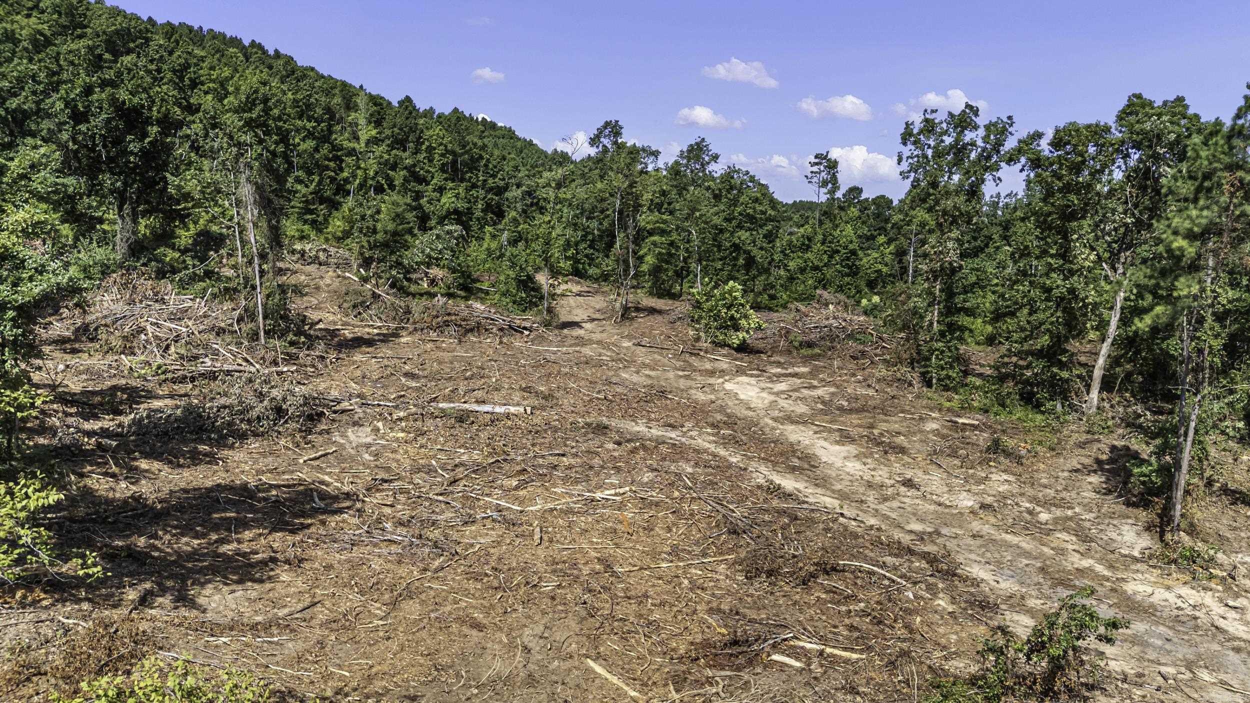 34 Acres Off SR 164 W  Dover, AR