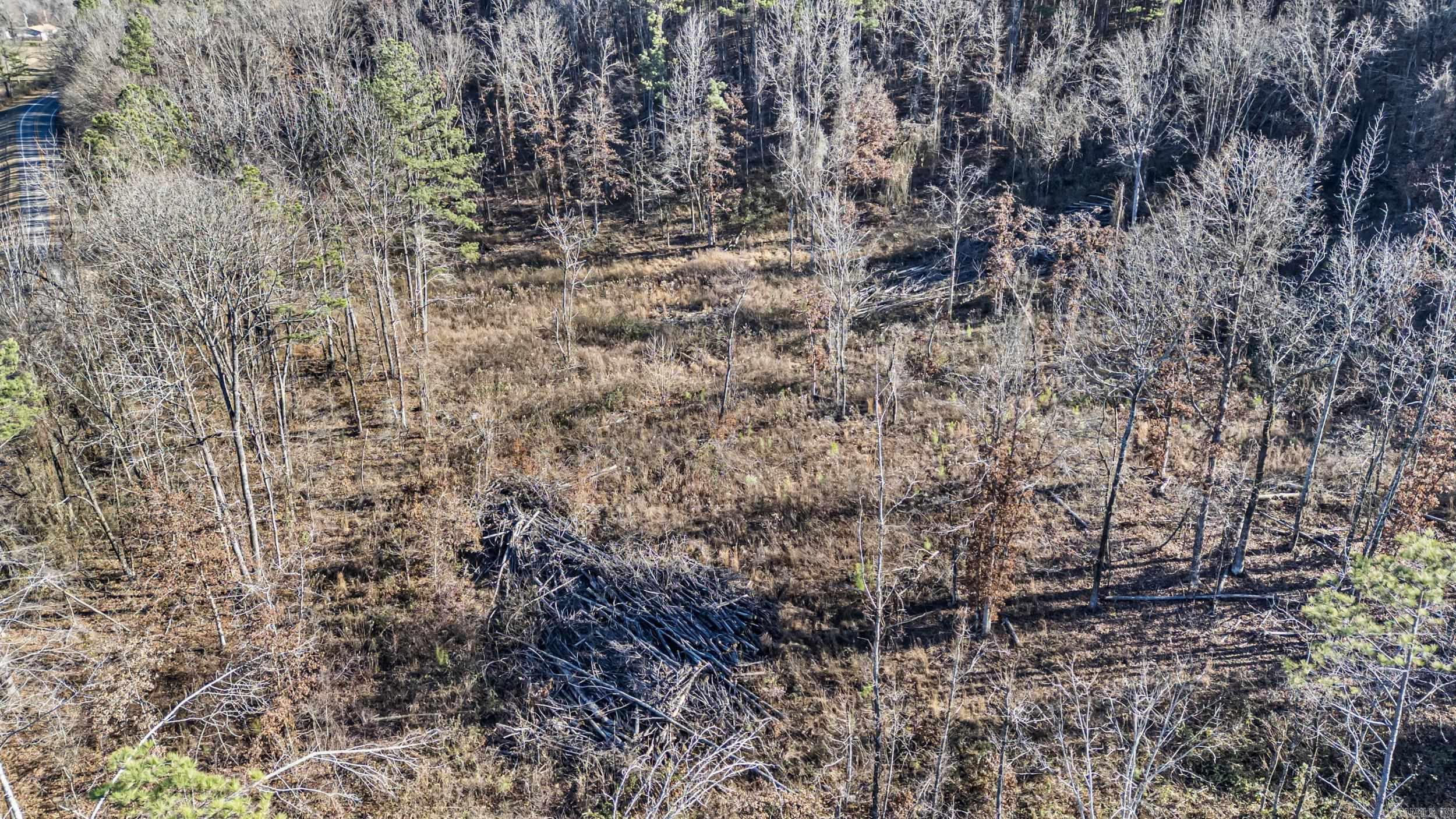 34 Acres Off SR 164 W  Dover, AR