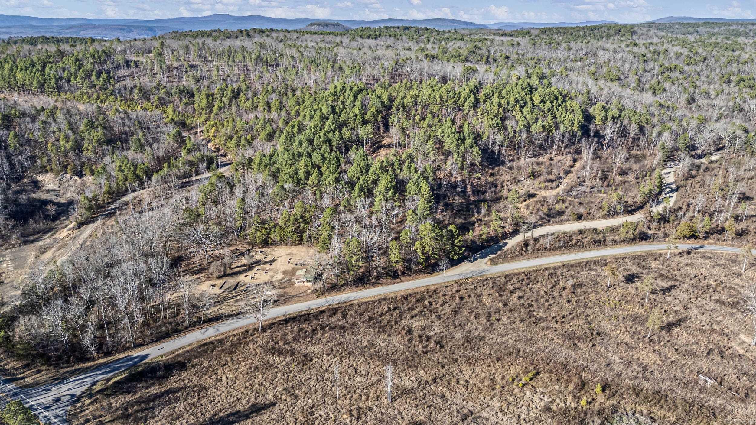 19 Acres Off Old 3 Knob Mountain  Dover, AR