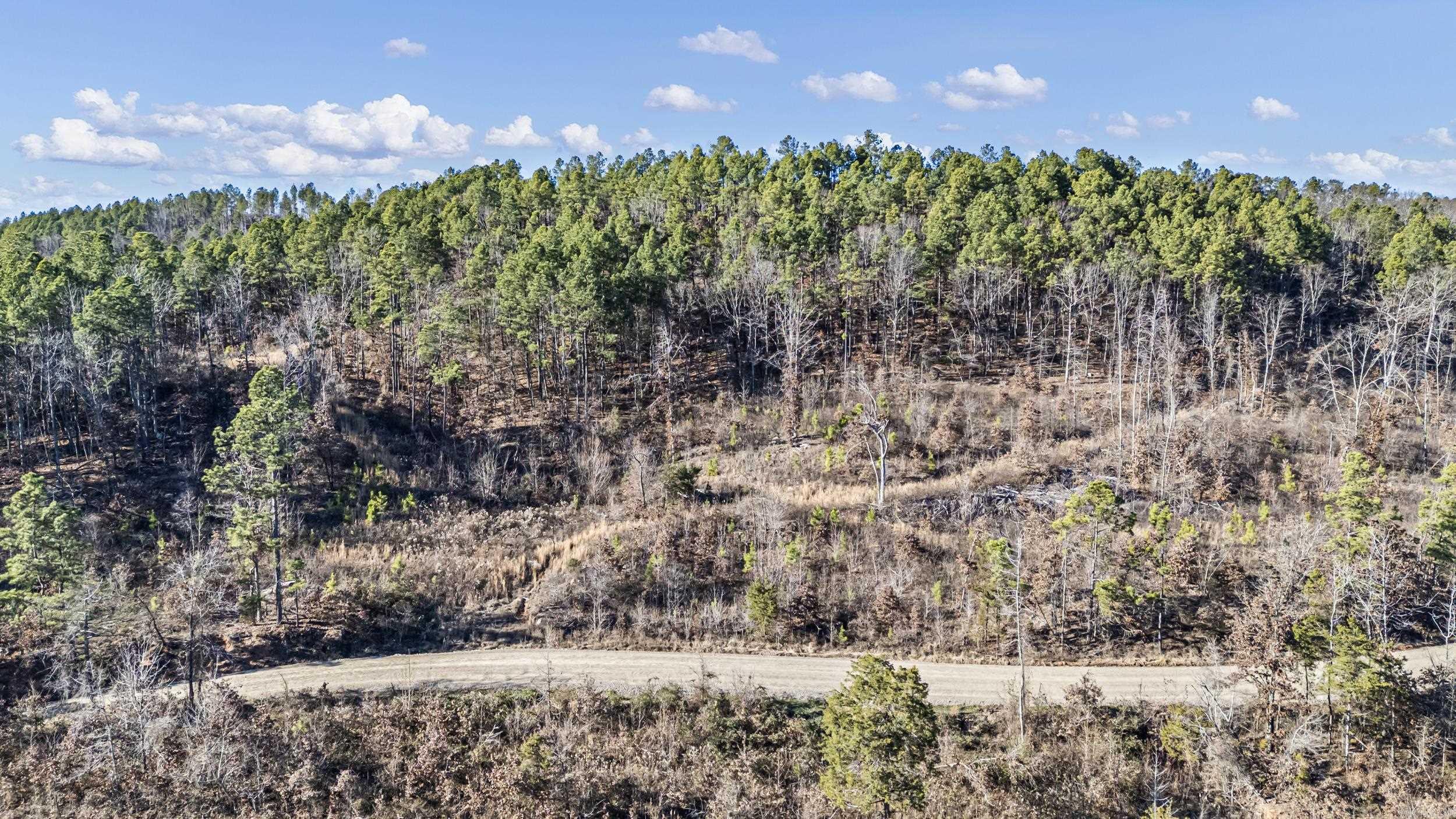 19 Acres Off Old 3 Knob Mountain  Dover, AR