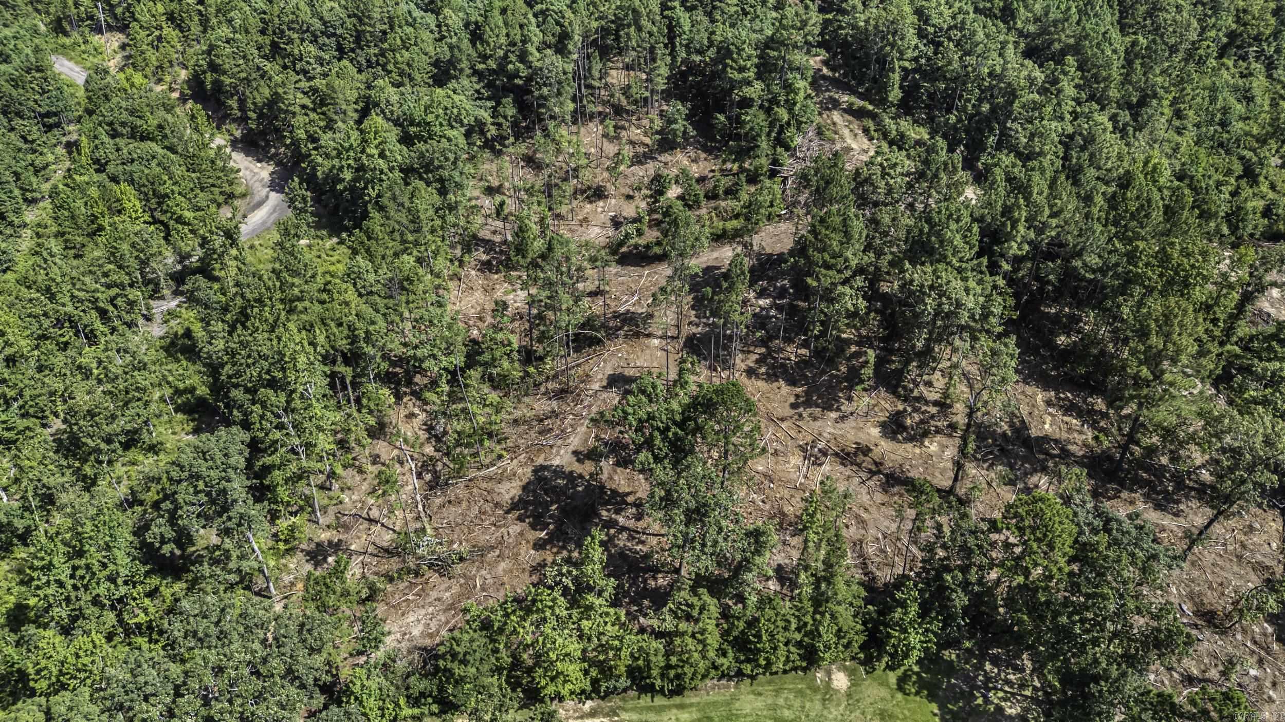 19 Acres Off Old 3 Knob Mountain  Dover, AR