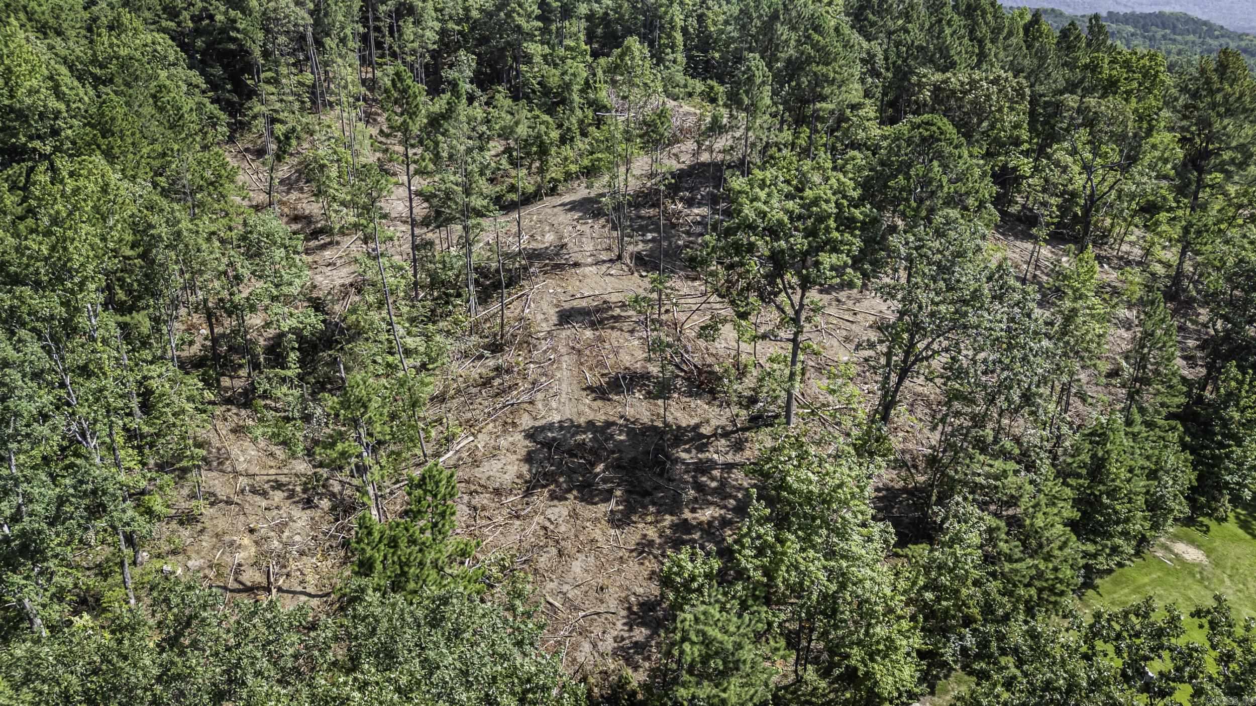 19 Acres Off Old 3 Knob Mountain  Dover, AR