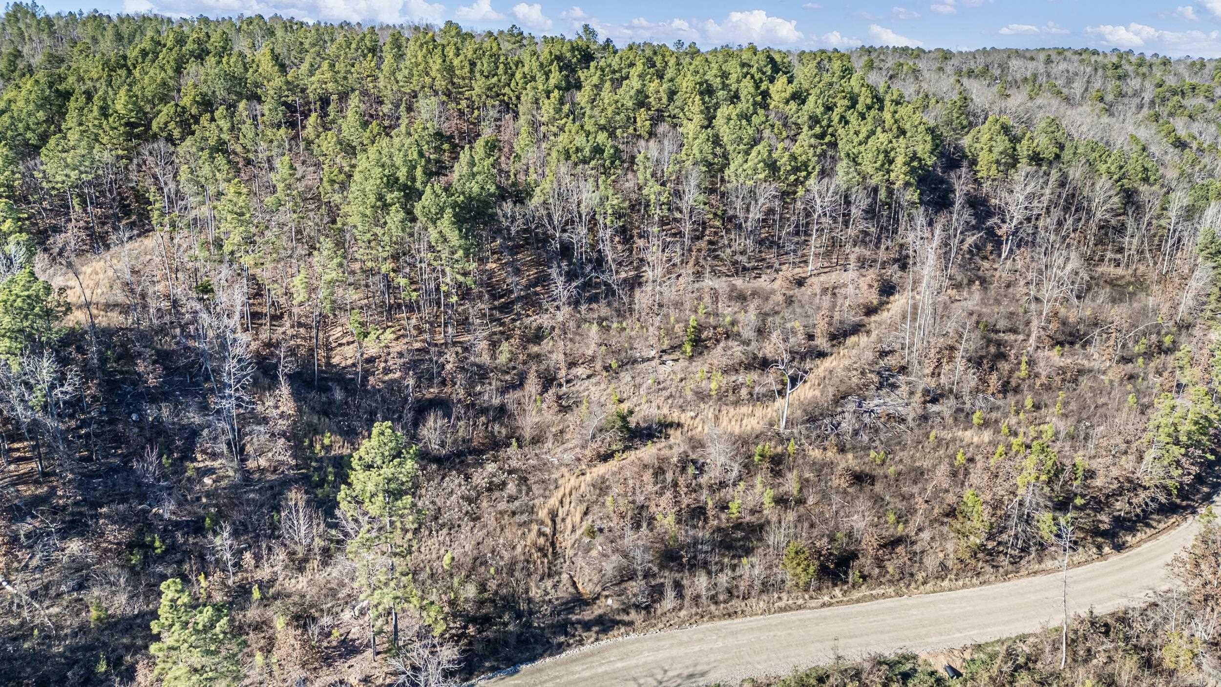 19 Acres Off Old 3 Knob Mountain  Dover, AR