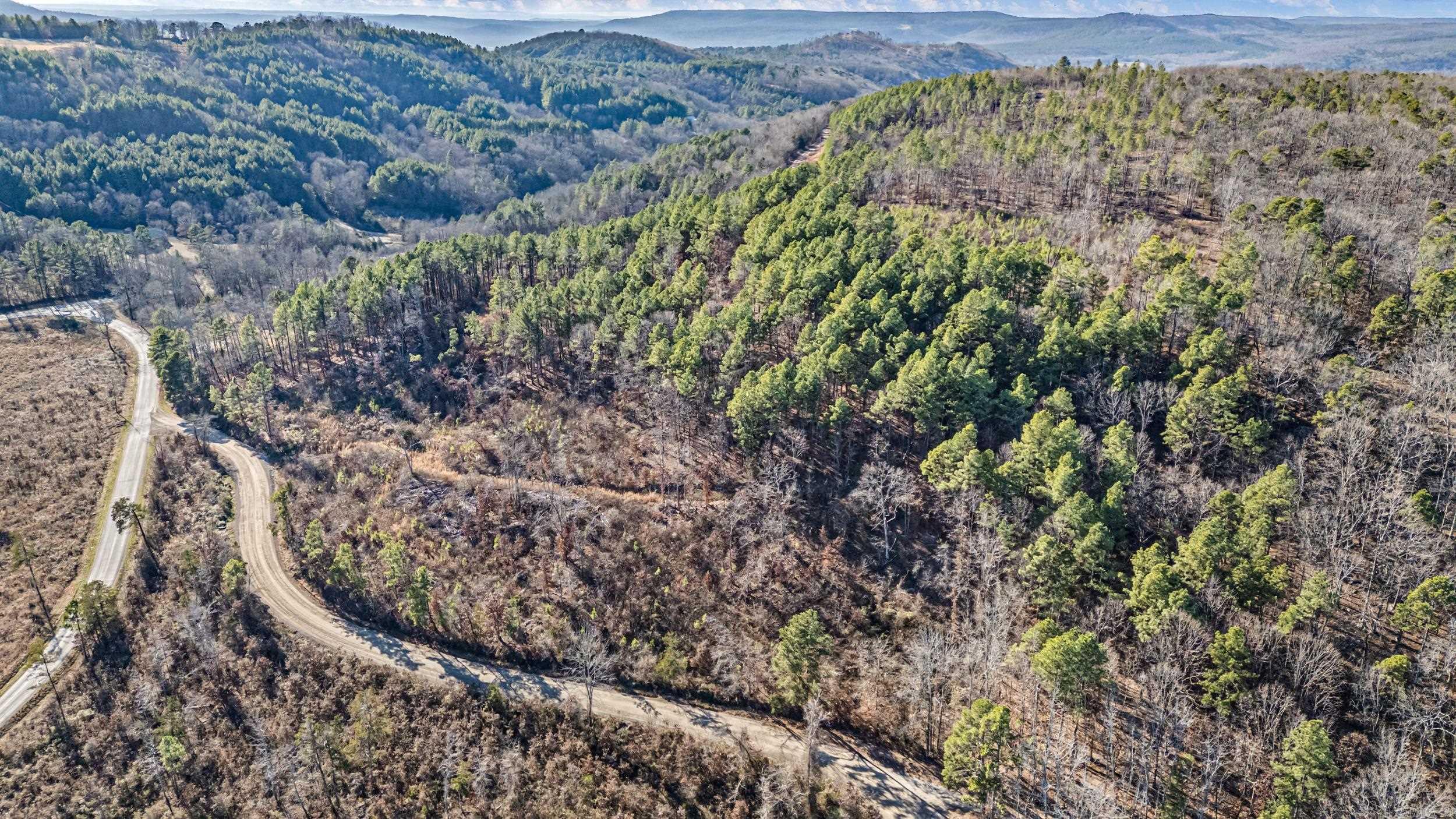 19 Acres Off Old 3 Knob Mountain  Dover, AR