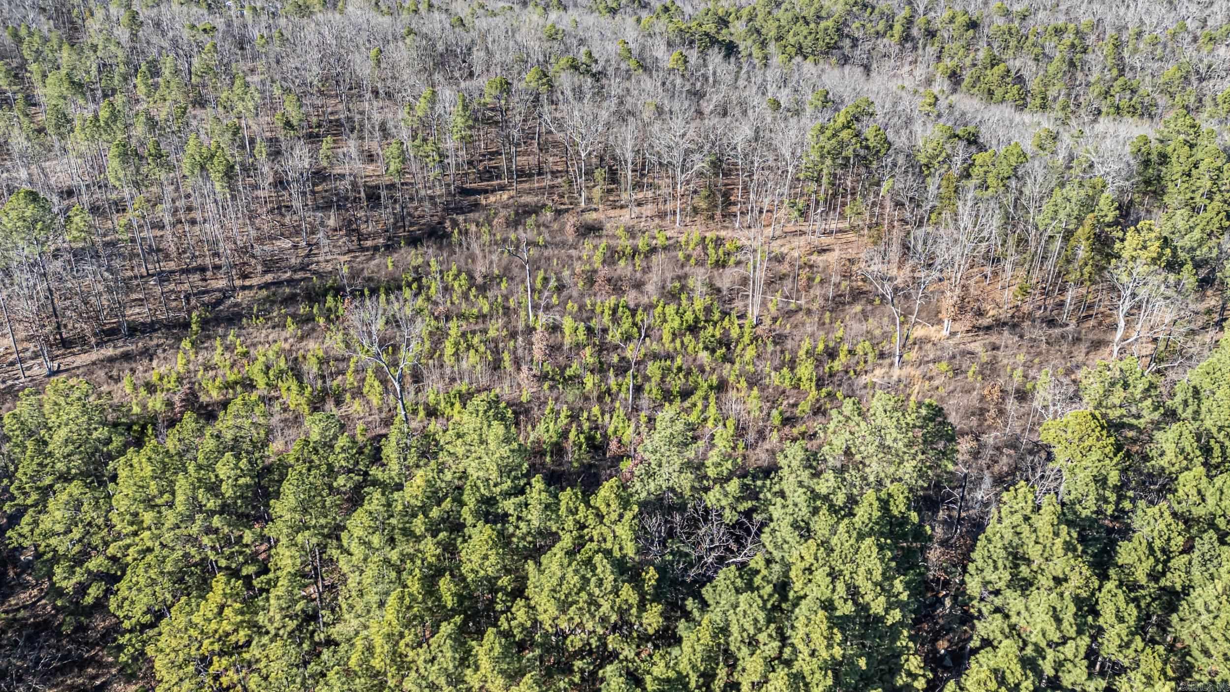 19 Acres Off Old 3 Knob Mountain  Dover, AR