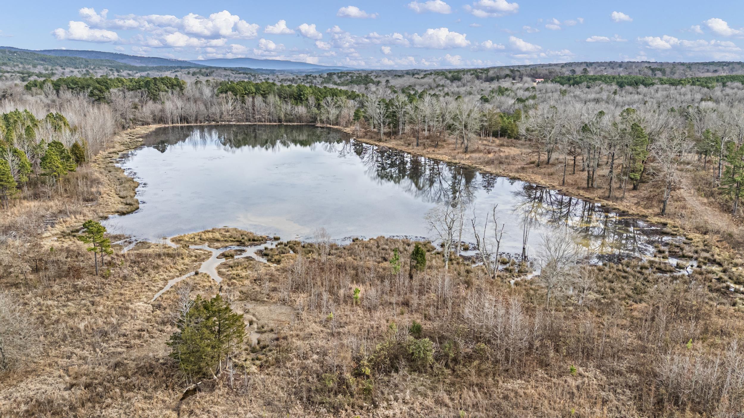 40+ Acres Off Booger Hollow  Dover, AR