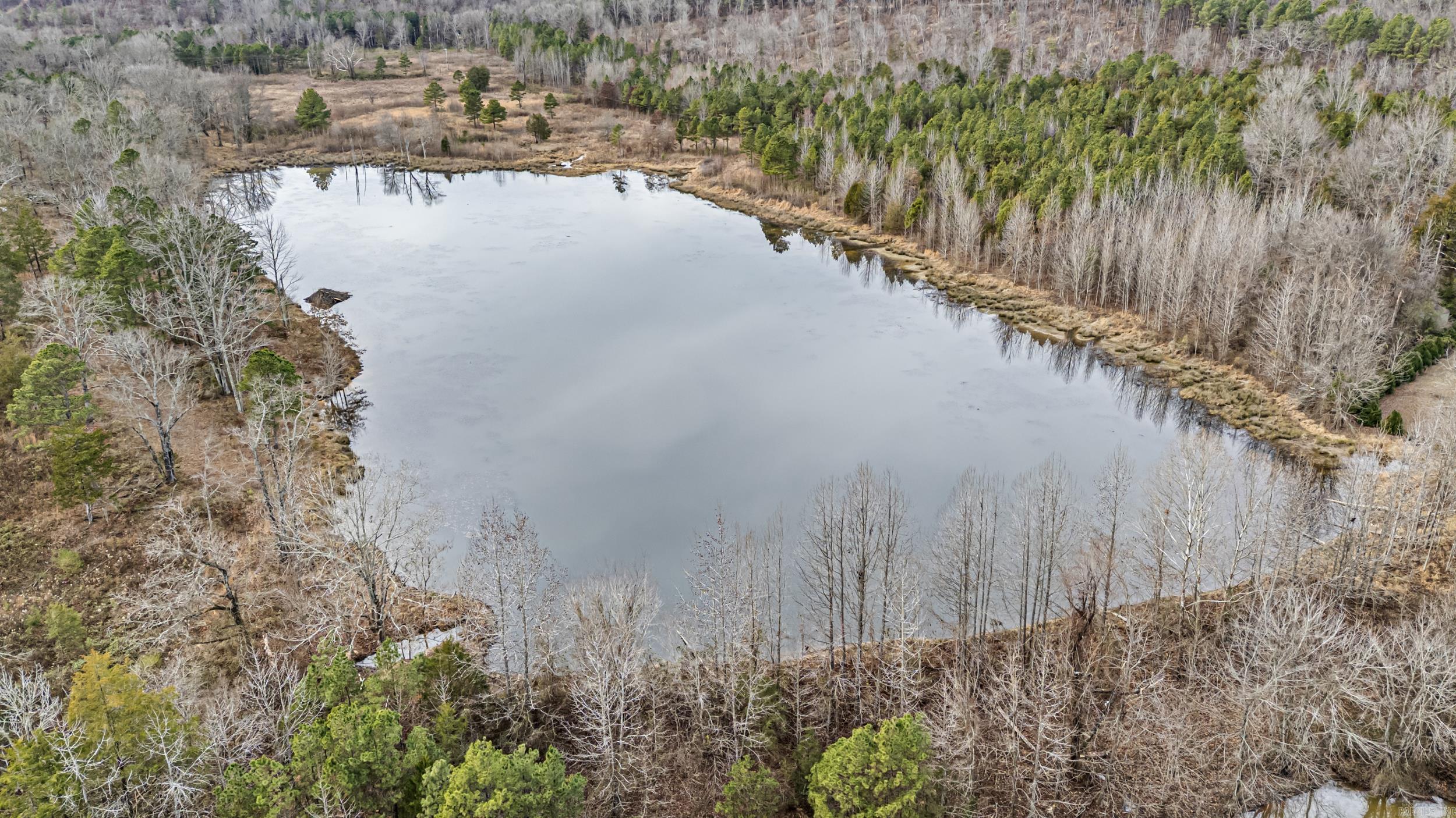 40+ Acres Off Booger Hollow  Dover, AR