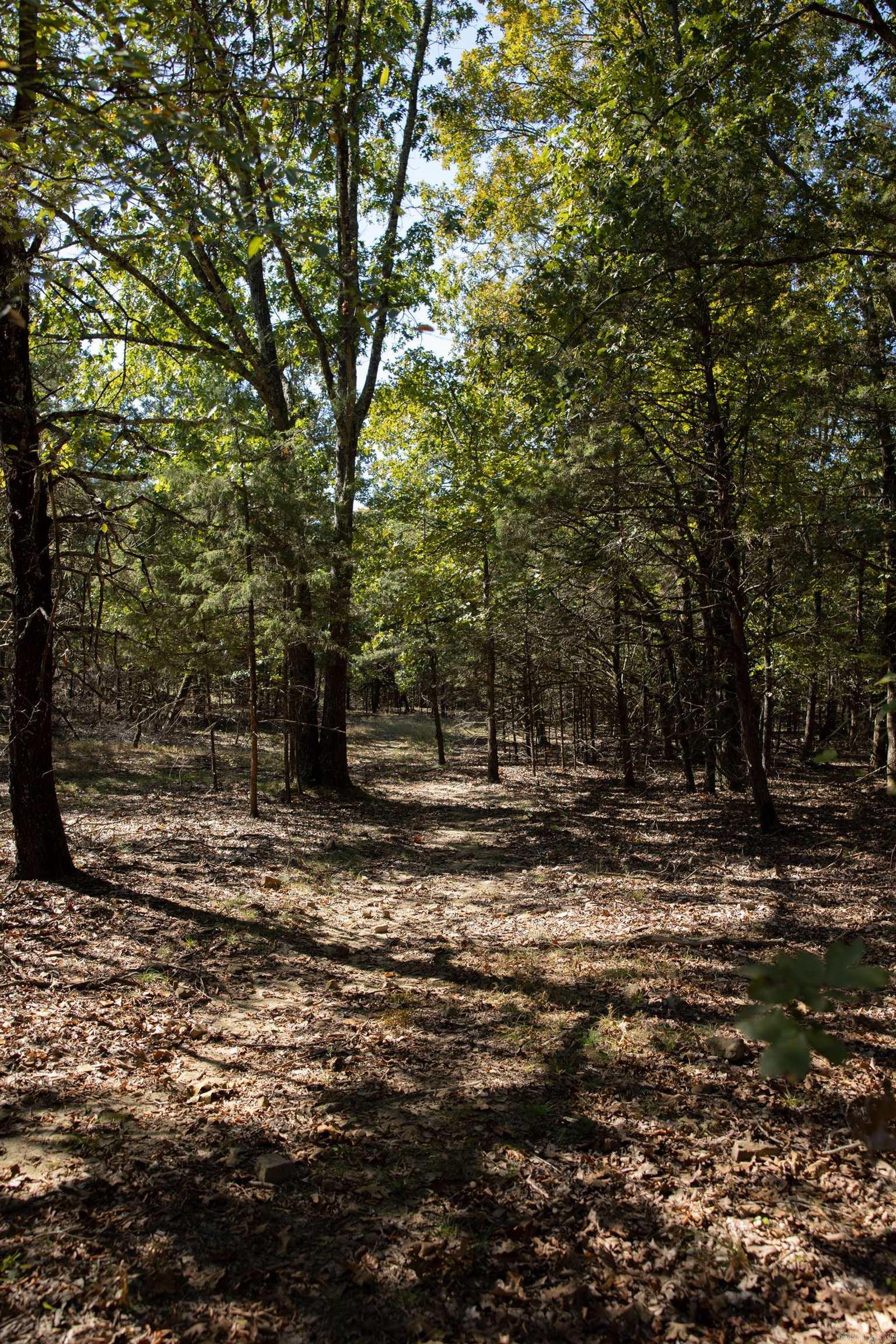 000 White Oak  Enola, AR