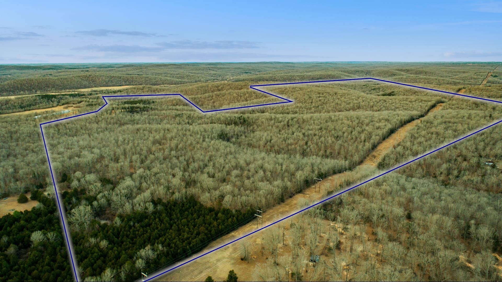 xxx Spring River Ranch  Williford, AR