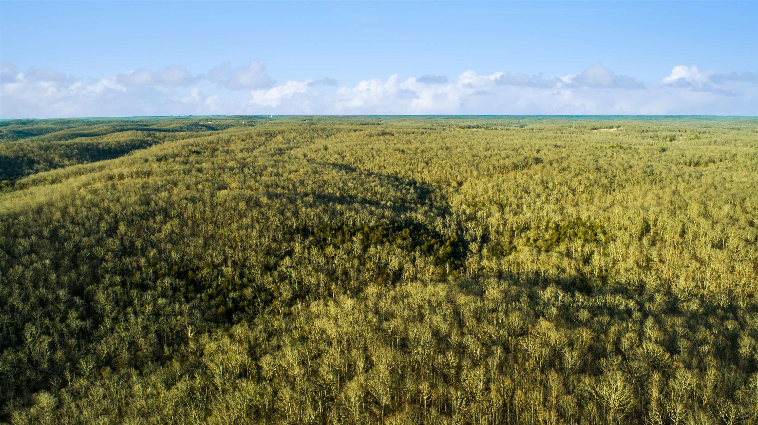 xxx Spring River Ranch  Williford, AR