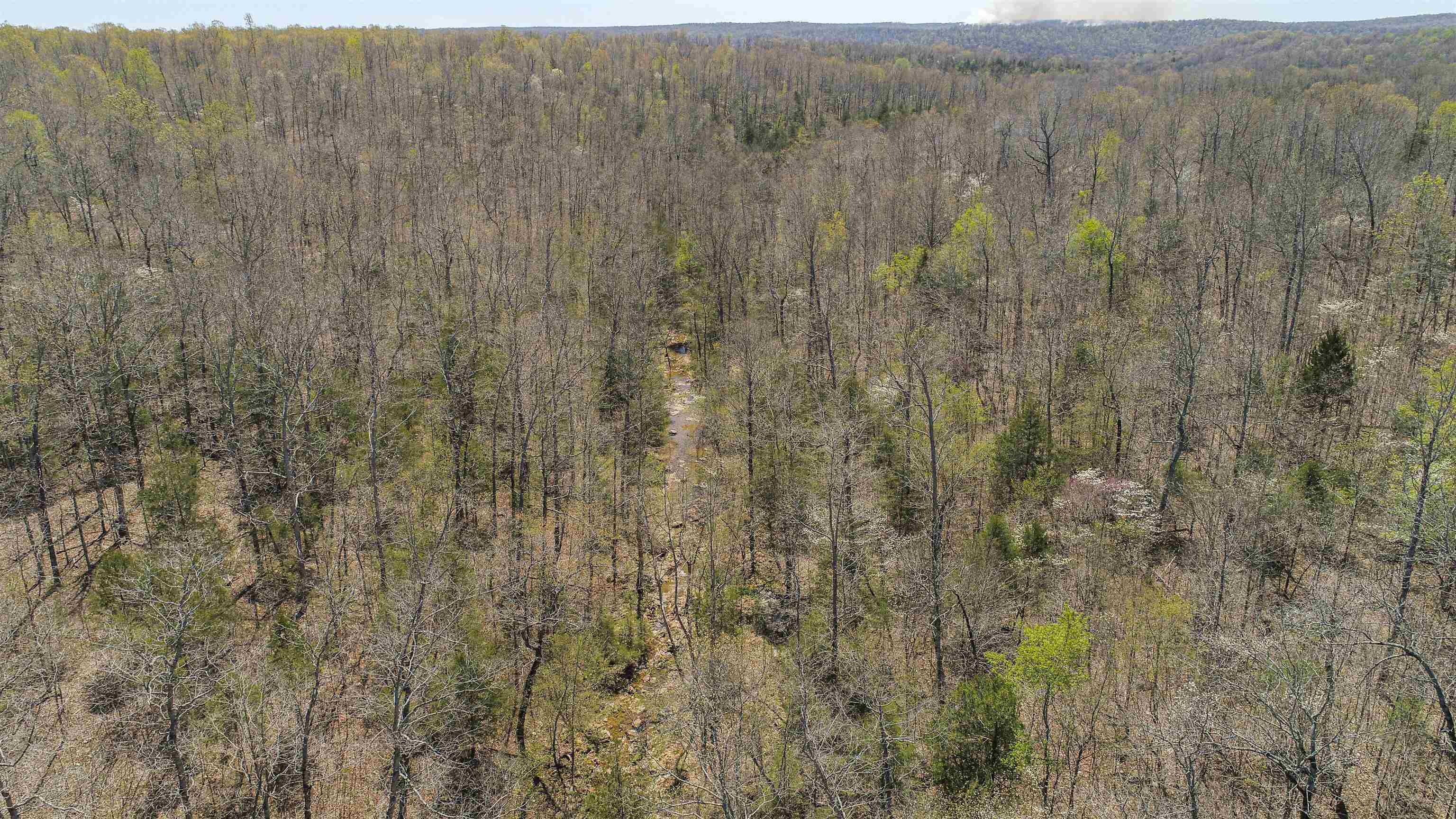 xxx Spring River Ranch  Williford, AR