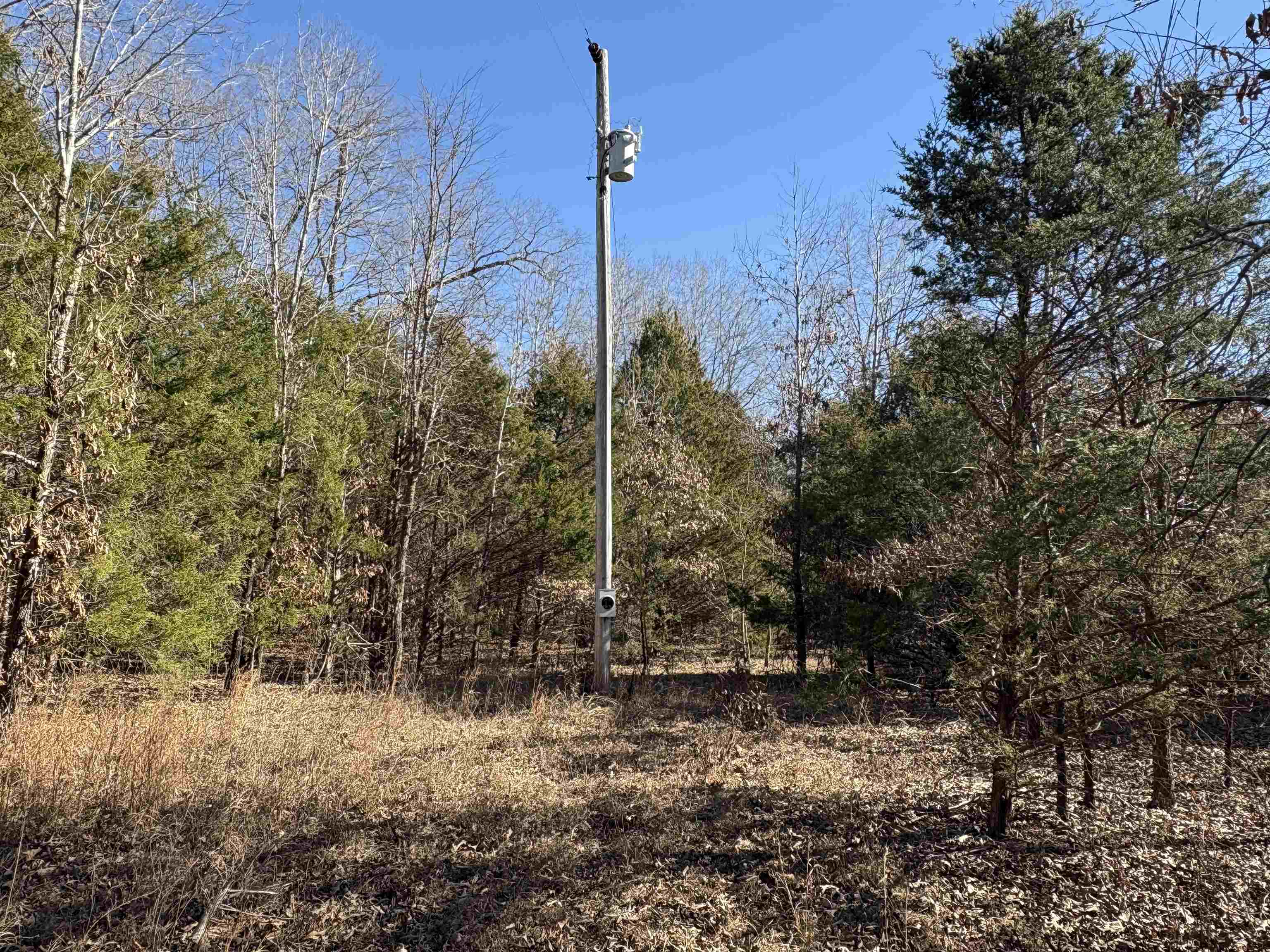 xxx Spring River Ranch  Williford, AR