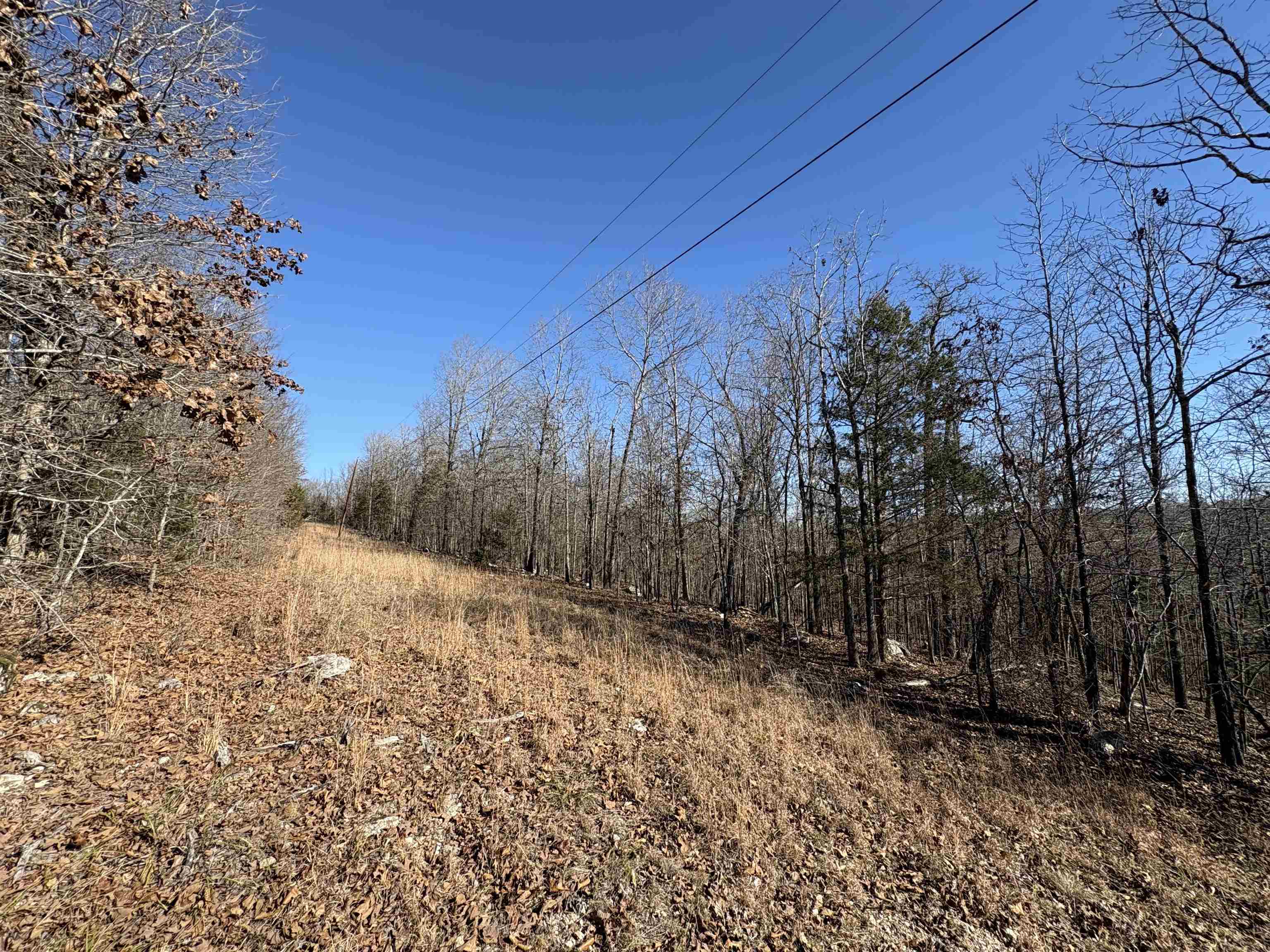 xxx Spring River Ranch  Williford, AR