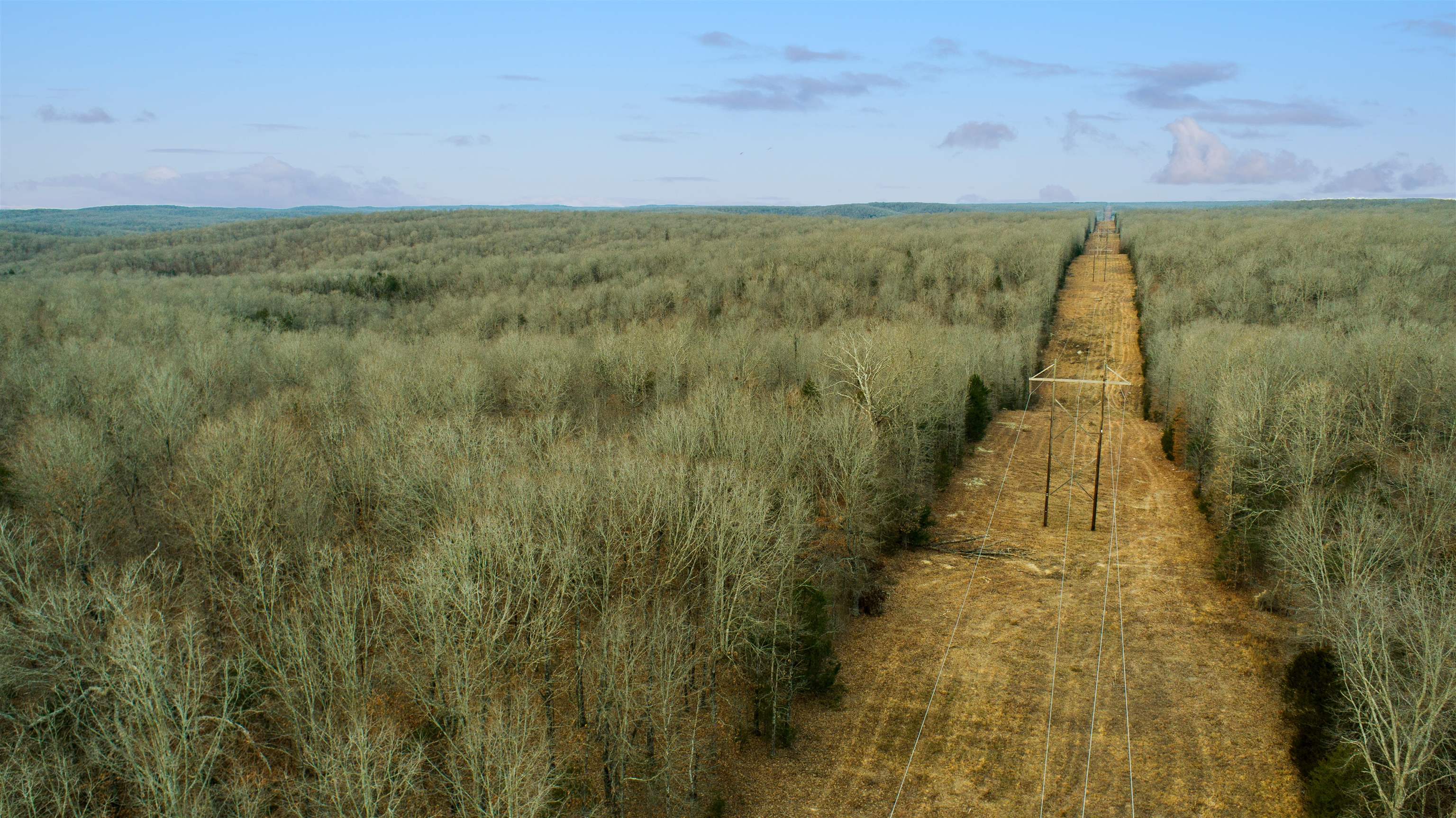 xxx Spring River Ranch  Williford, AR