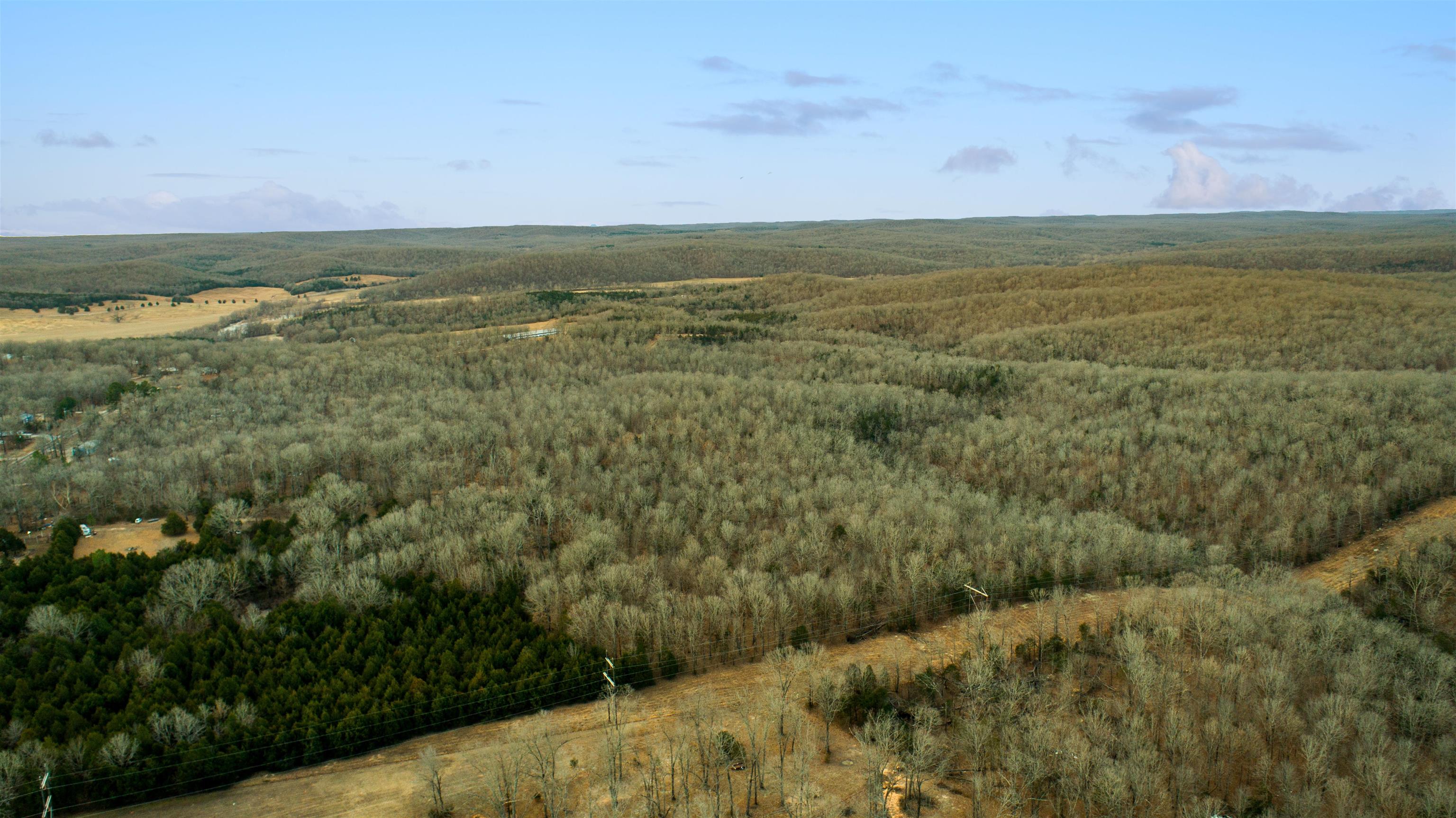 xxx Spring River Ranch  Williford, AR