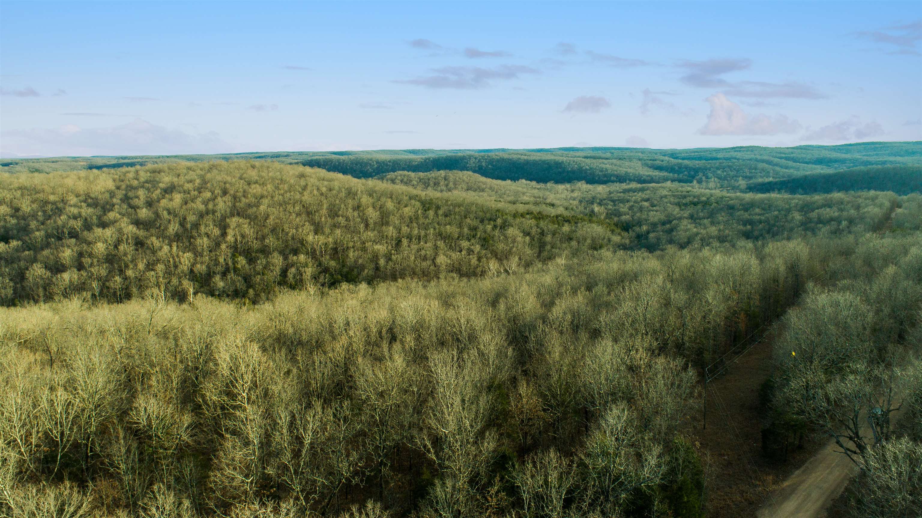 xxx Spring River Ranch  Williford, AR