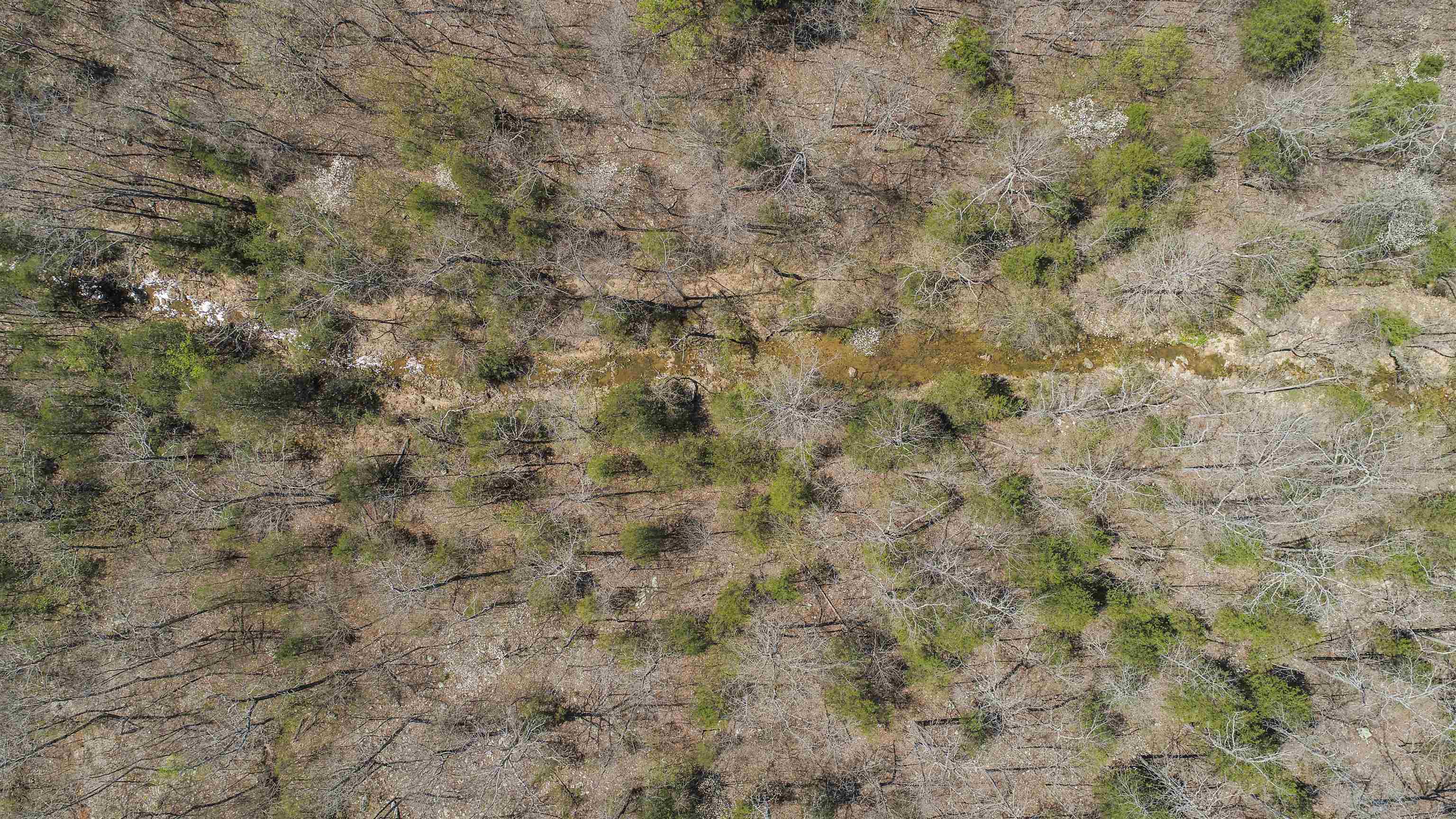 xxx Spring River Ranch  Williford, AR