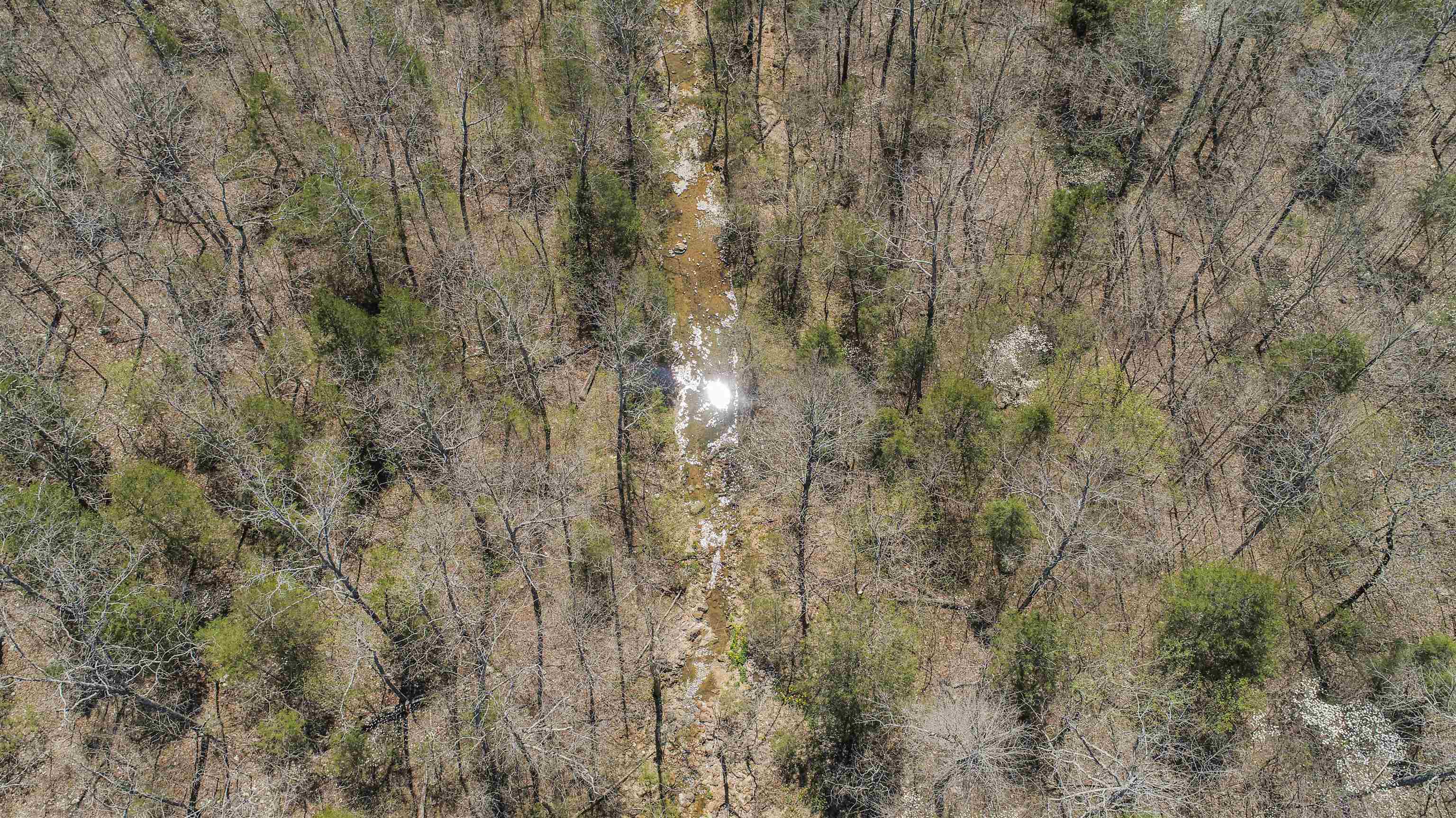 xxx Spring River Ranch  Williford, AR