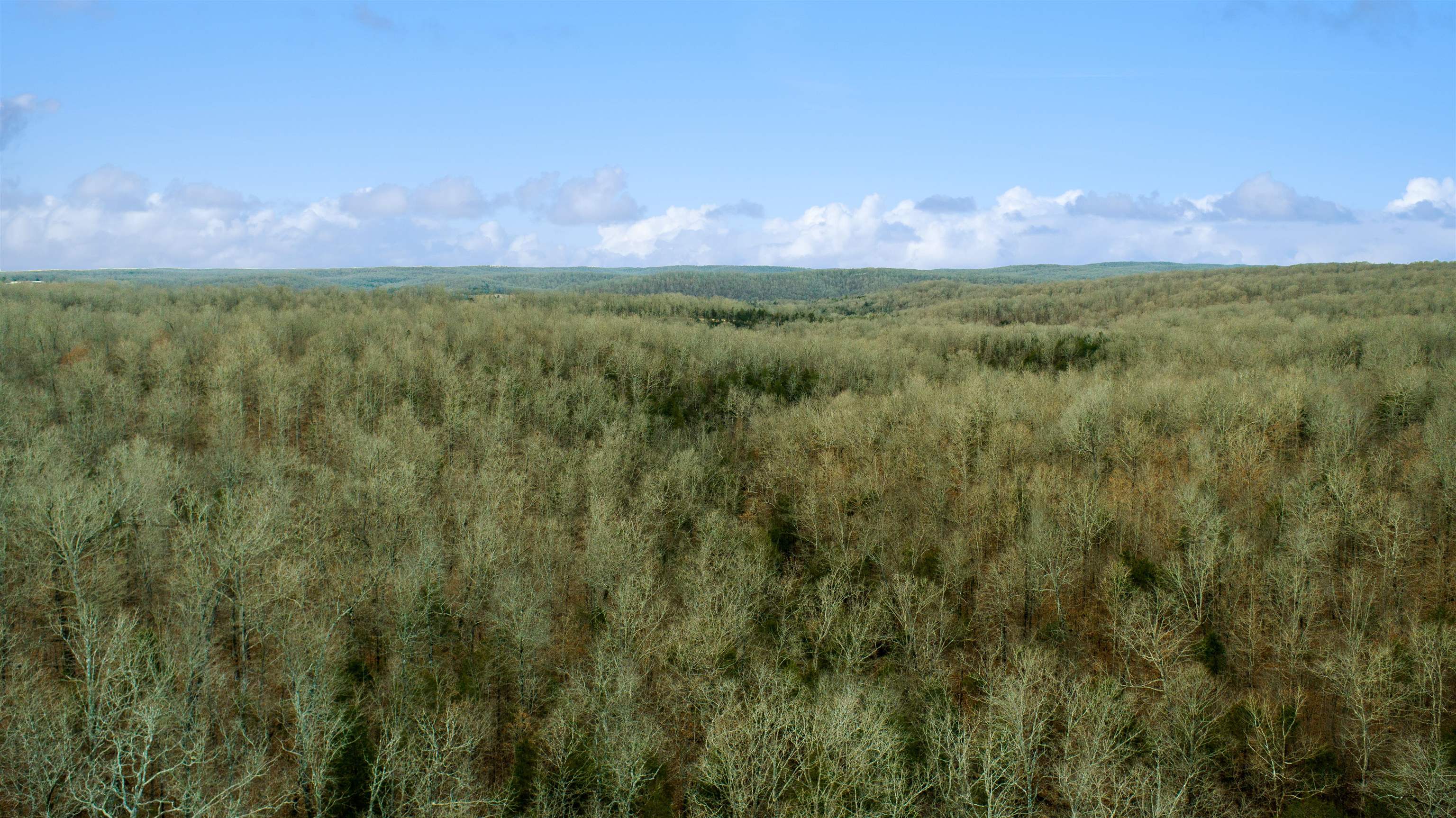 xxx Spring River Ranch  Williford, AR