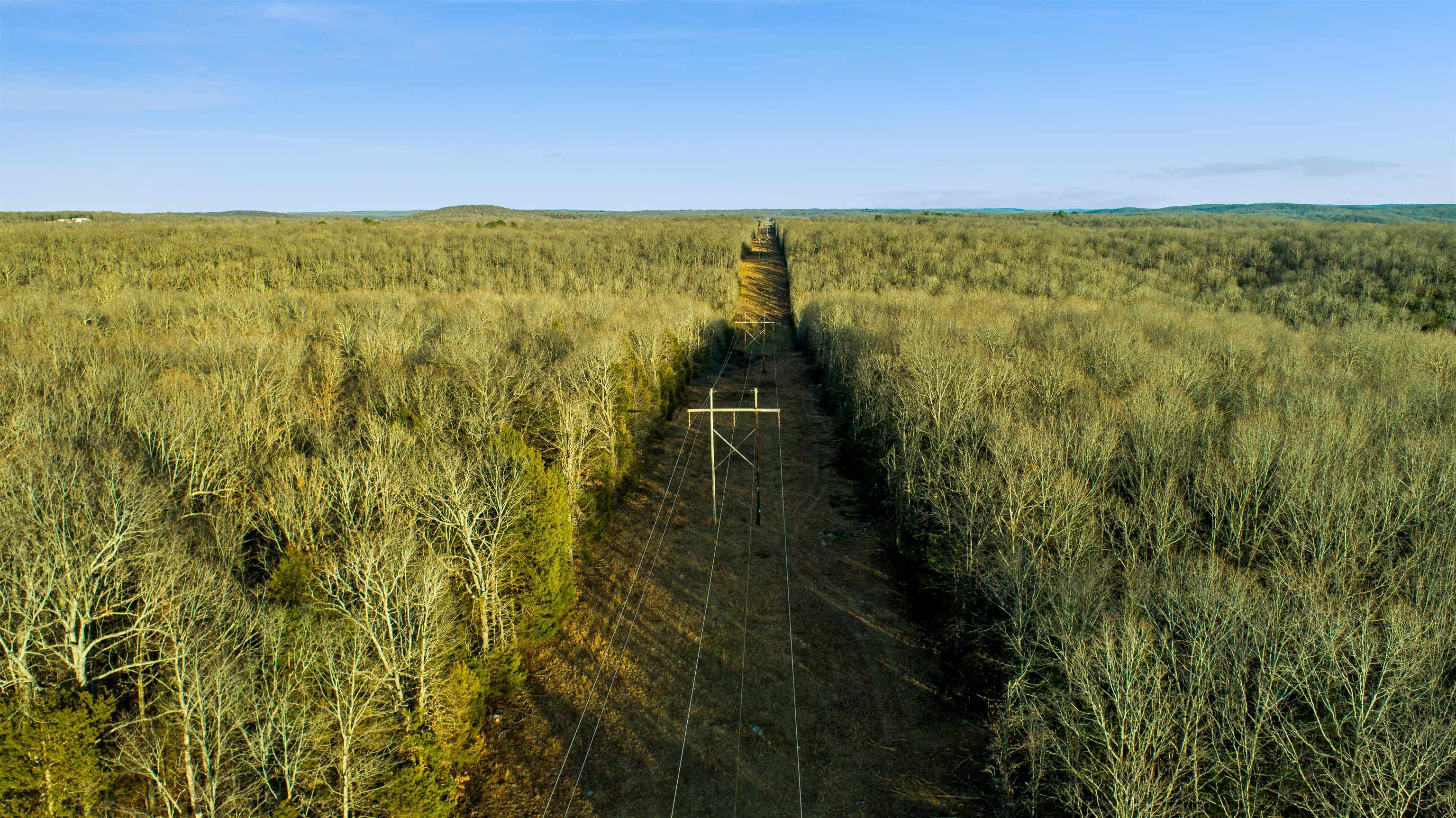 xxx Spring River Ranch  Williford, AR