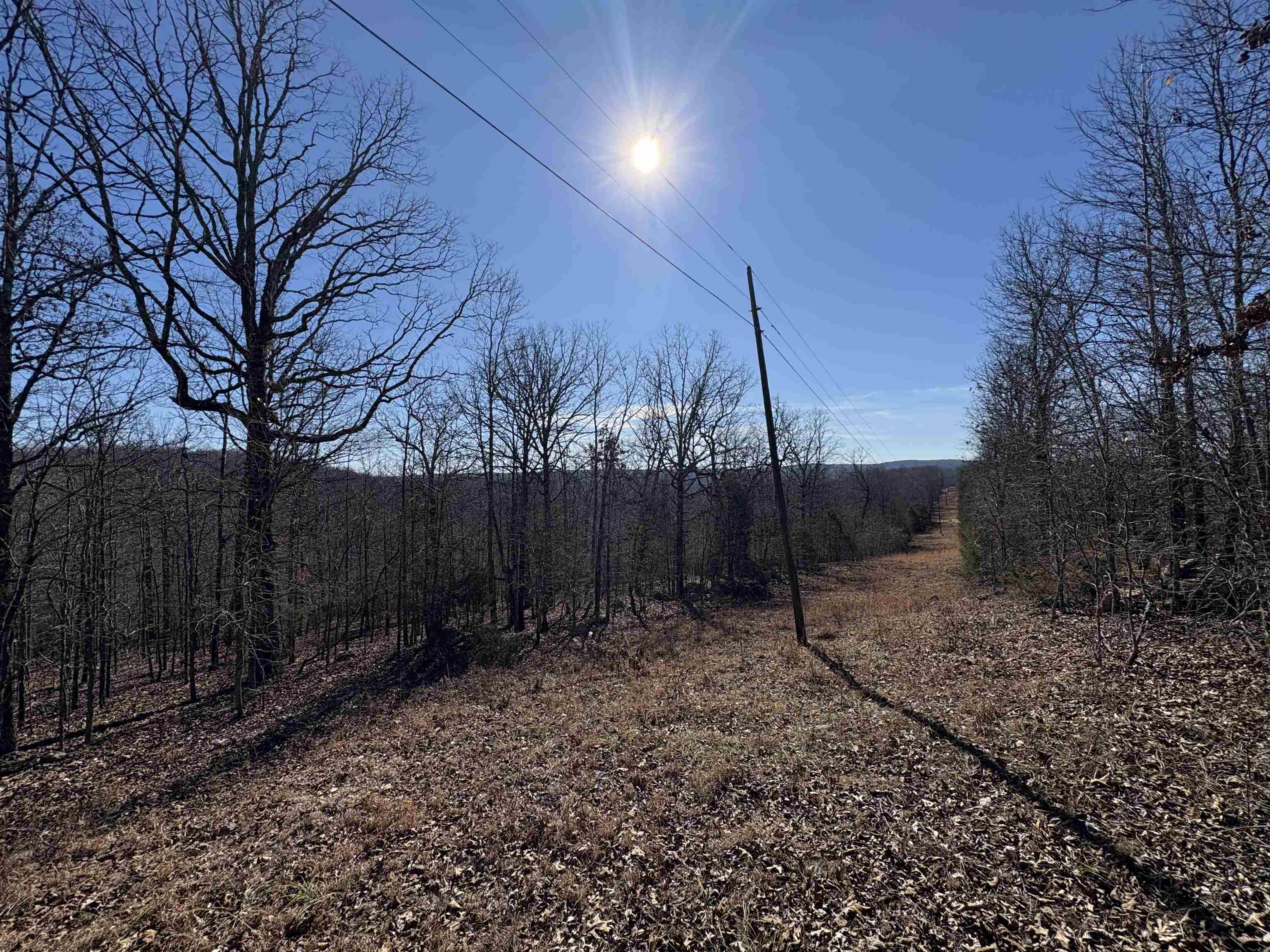 xxx Spring River Ranch  Williford, AR