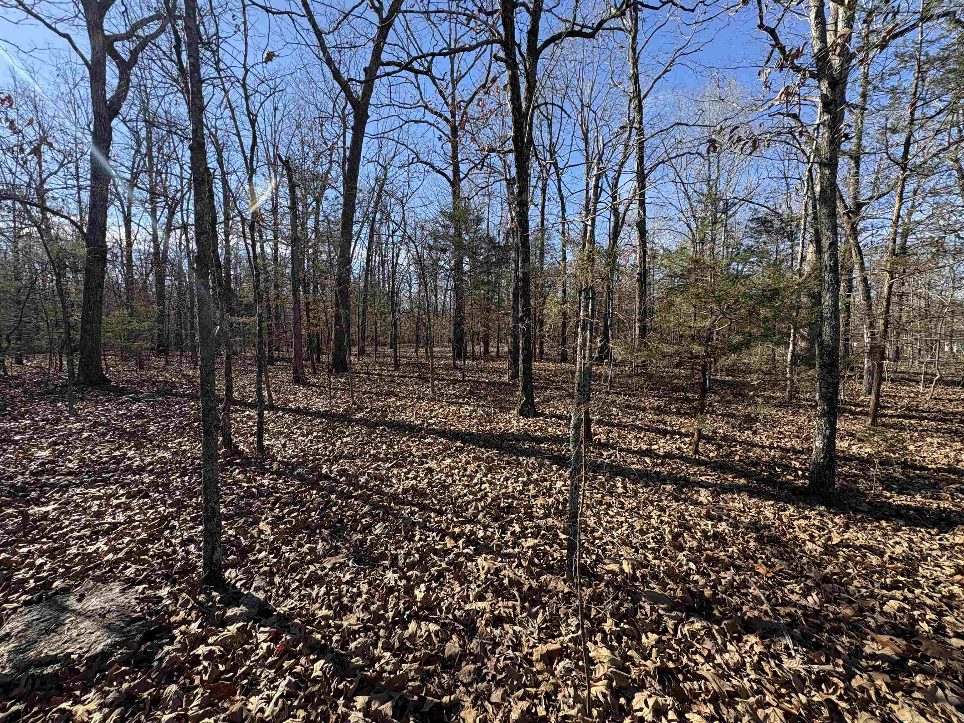 xxx Spring River Ranch  Williford, AR