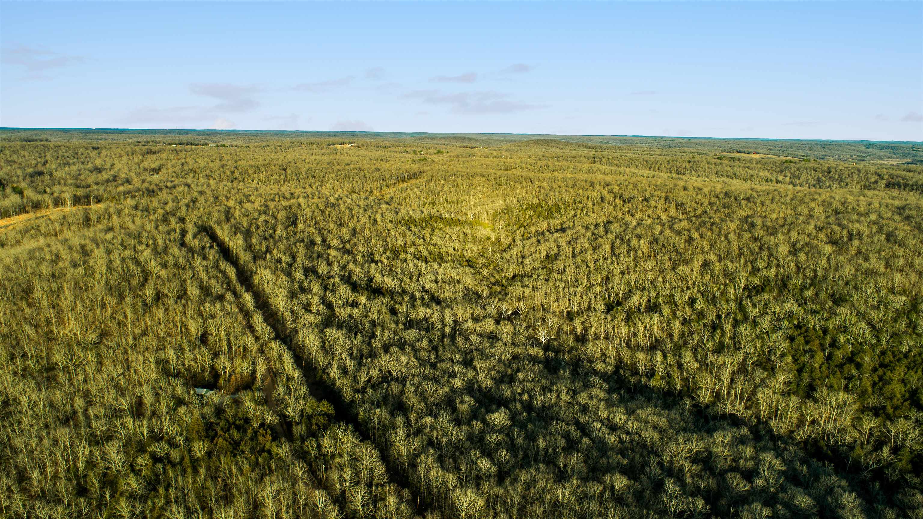 xxx Spring River Ranch  Williford, AR