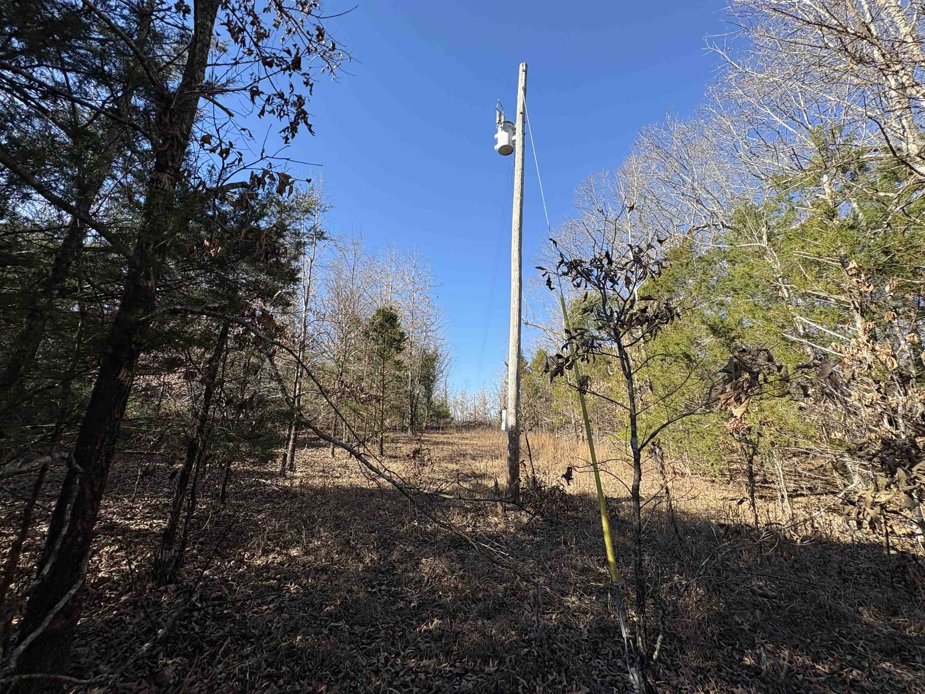 xxx Spring River Ranch  Williford, AR