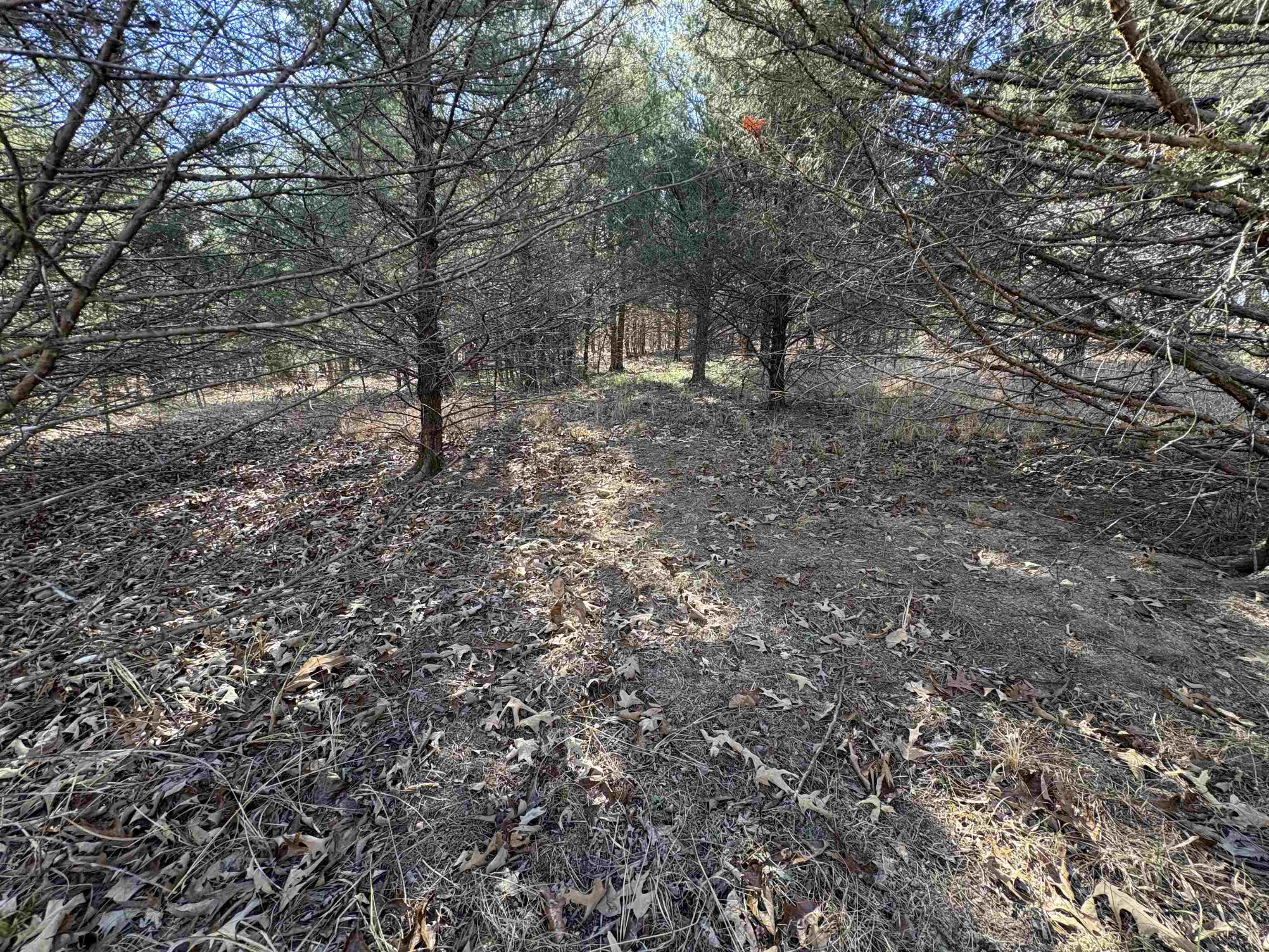 xxx Spring River Ranch  Williford, AR