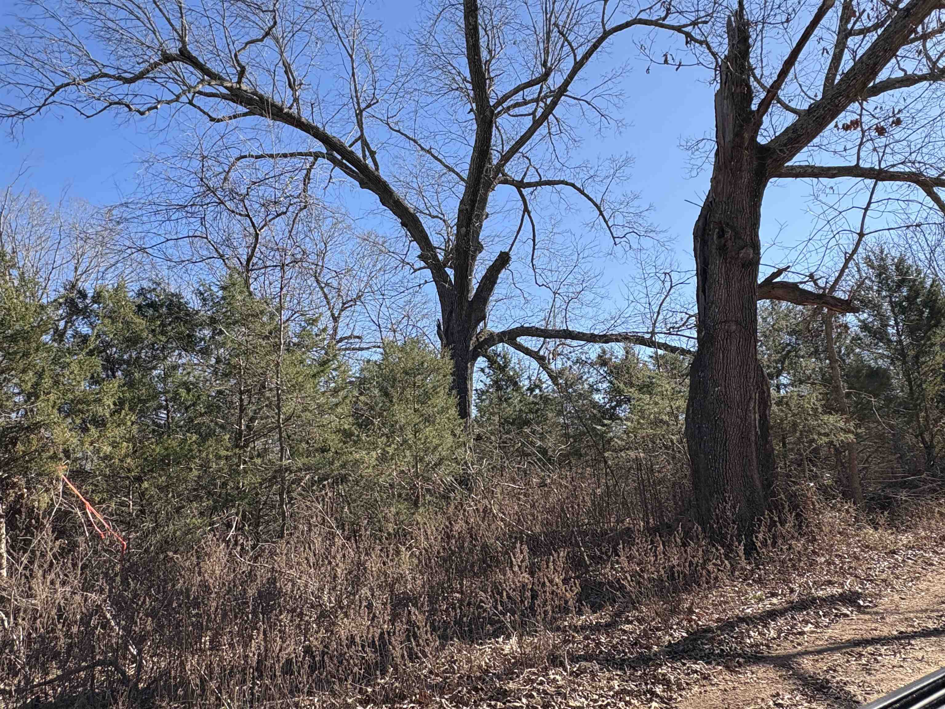 xxx Spring River Ranch  Williford, AR