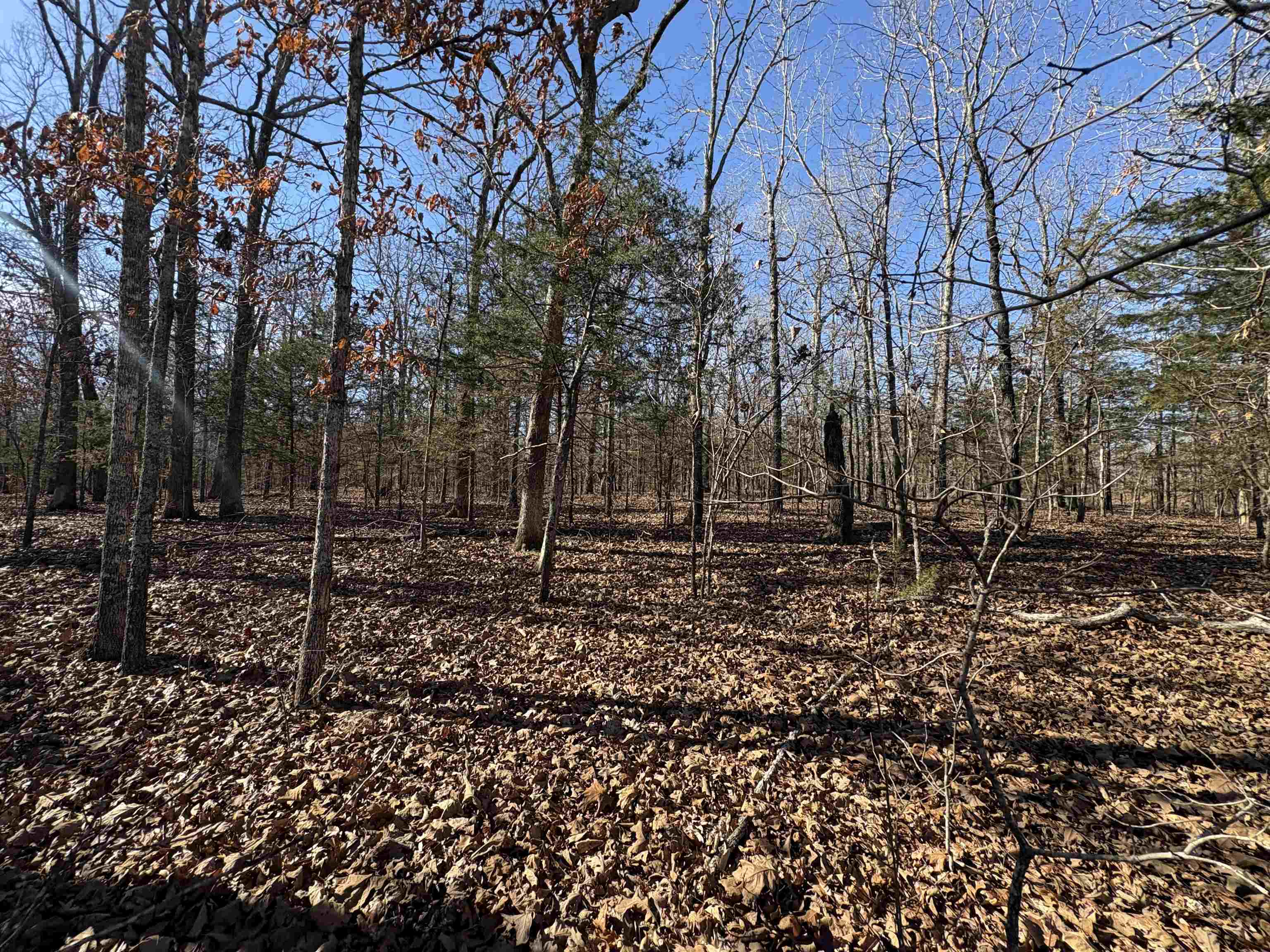 xxx Spring River Ranch  Williford, AR