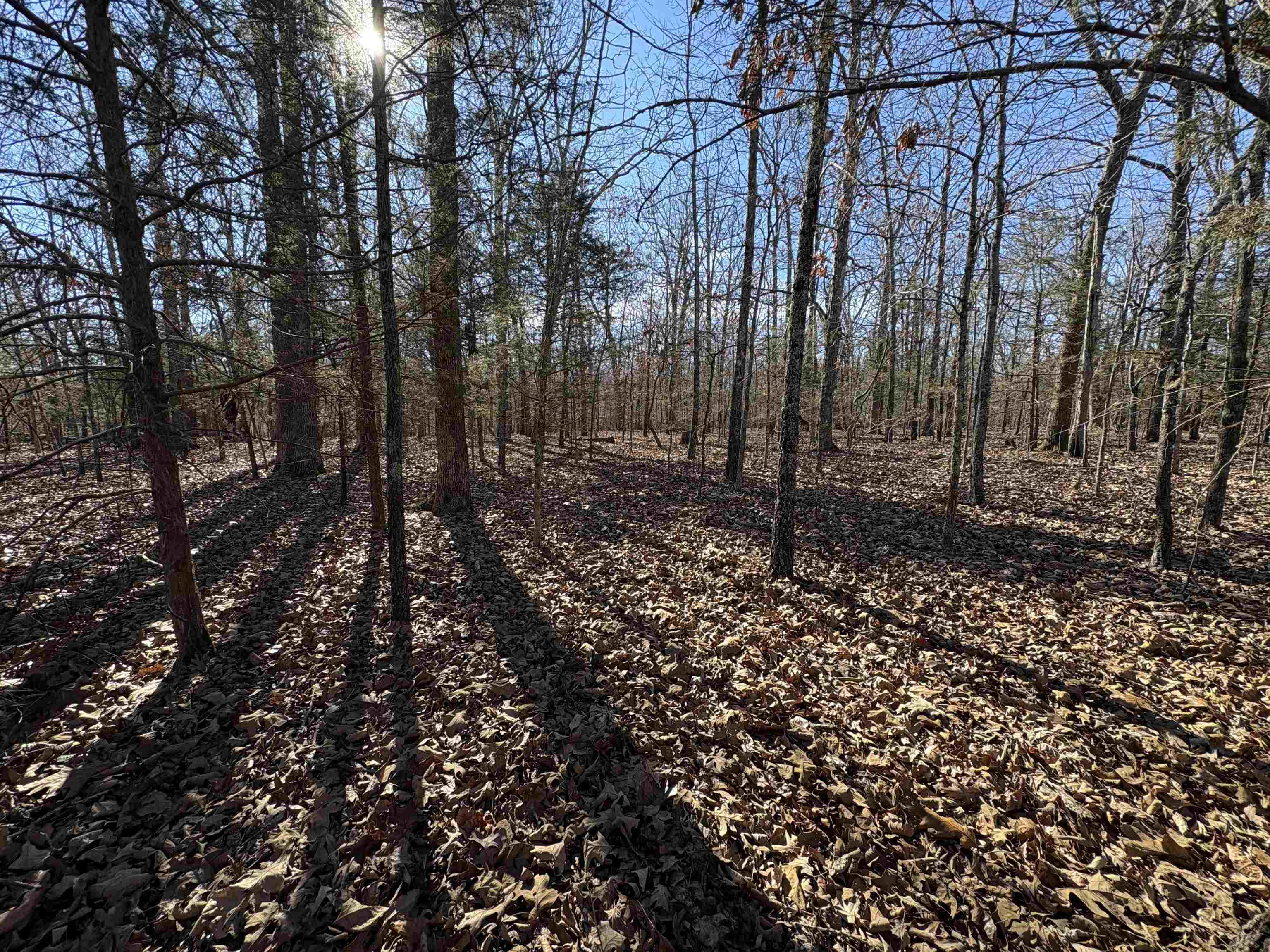 xxx Spring River Ranch  Williford, AR