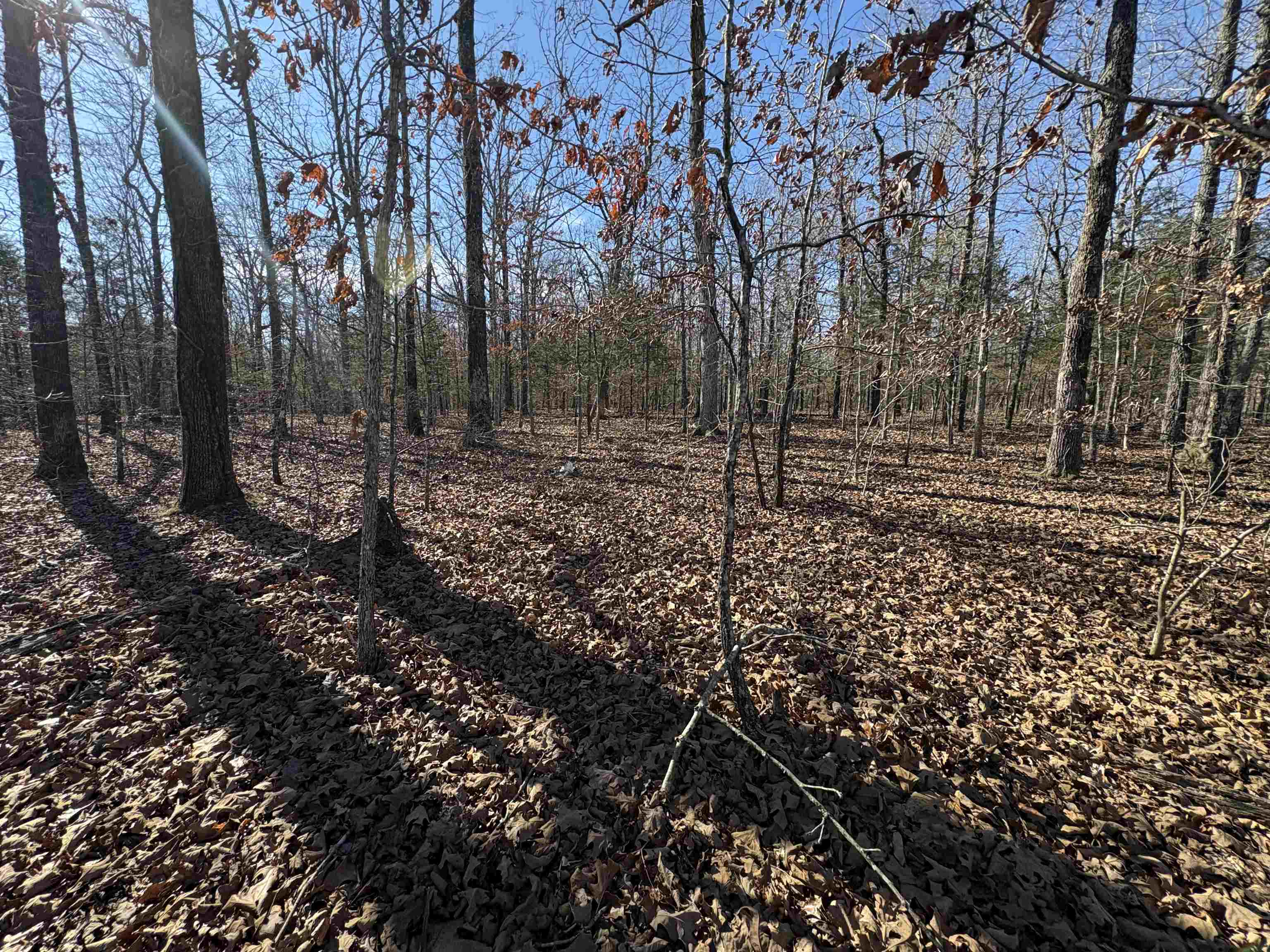 xxx Spring River Ranch  Williford, AR