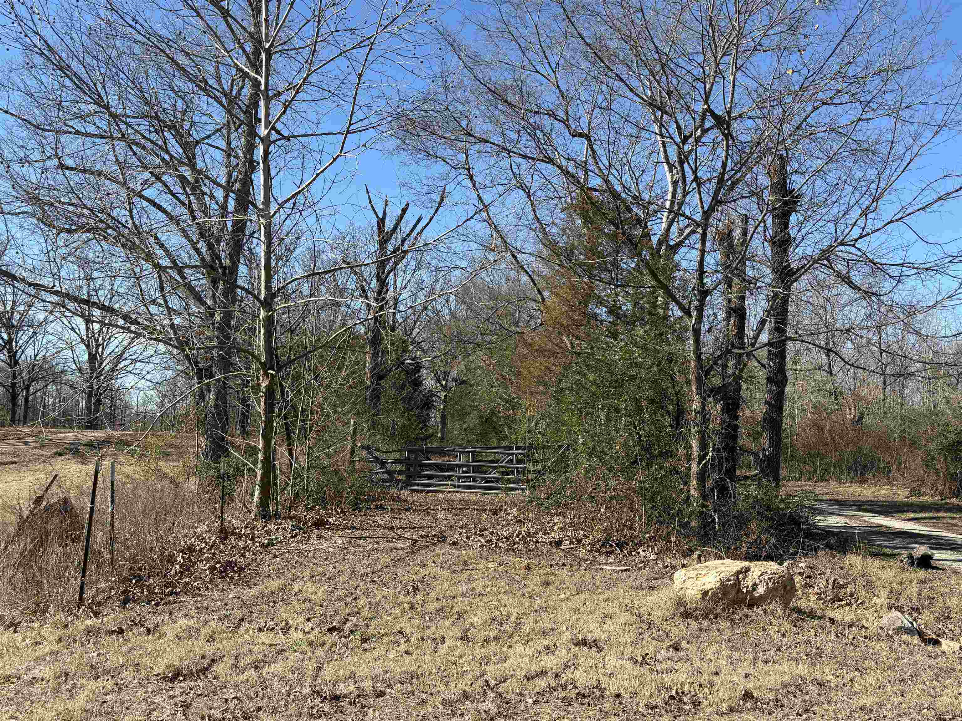 xxx Spring River Ranch  Williford, AR