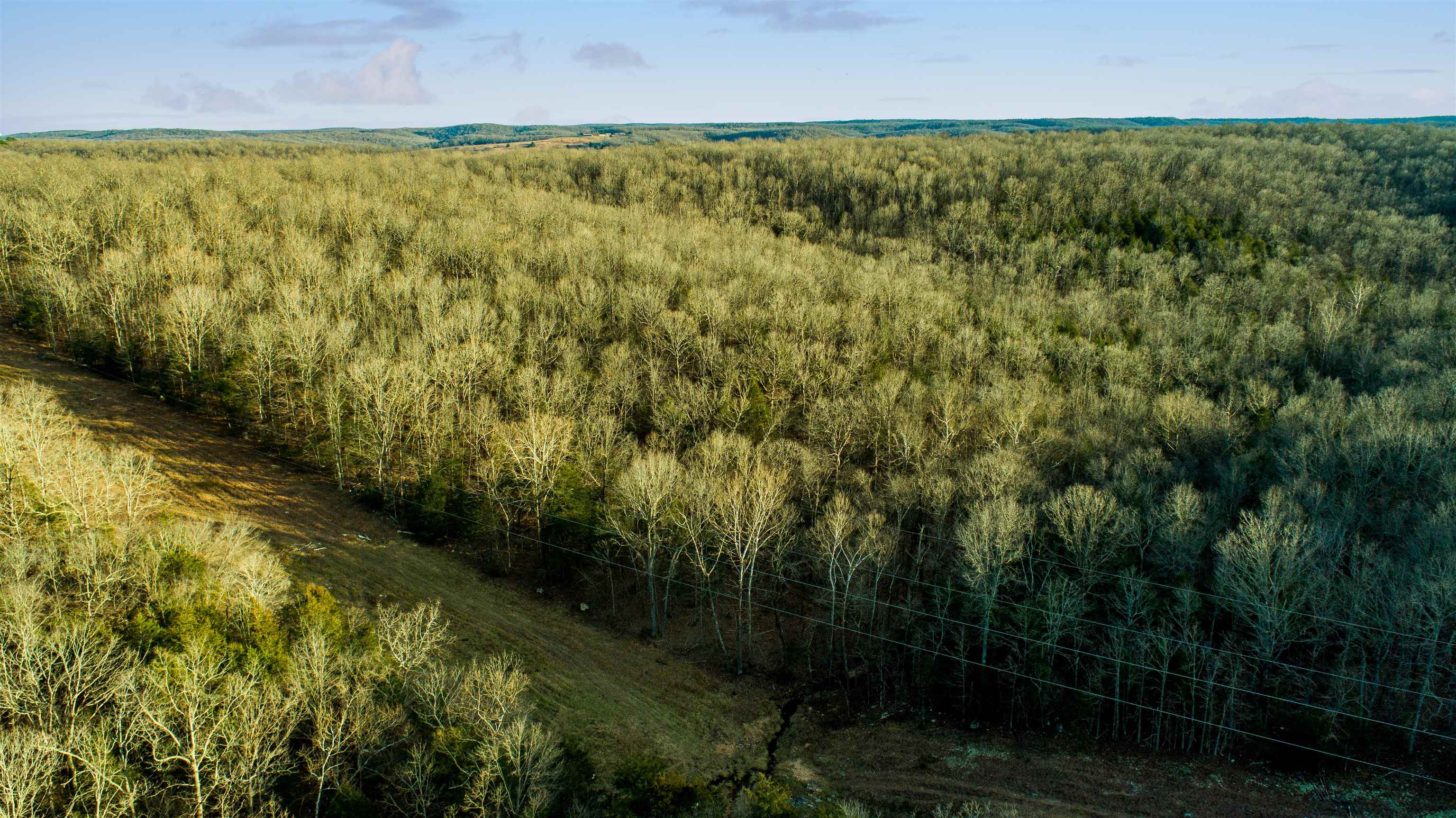 xxx Spring River Ranch  Williford, AR