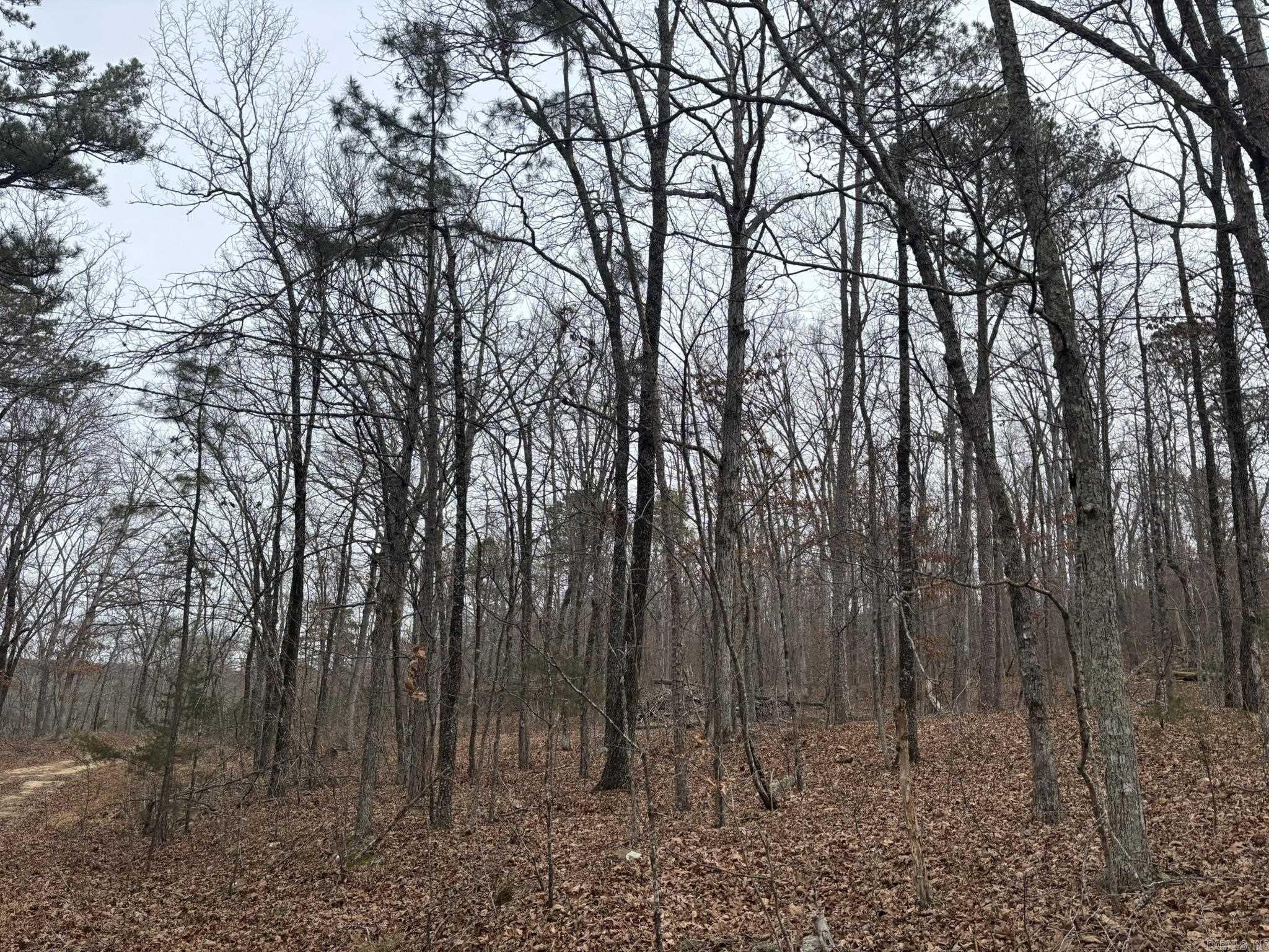 000 Edge  Clinton, AR