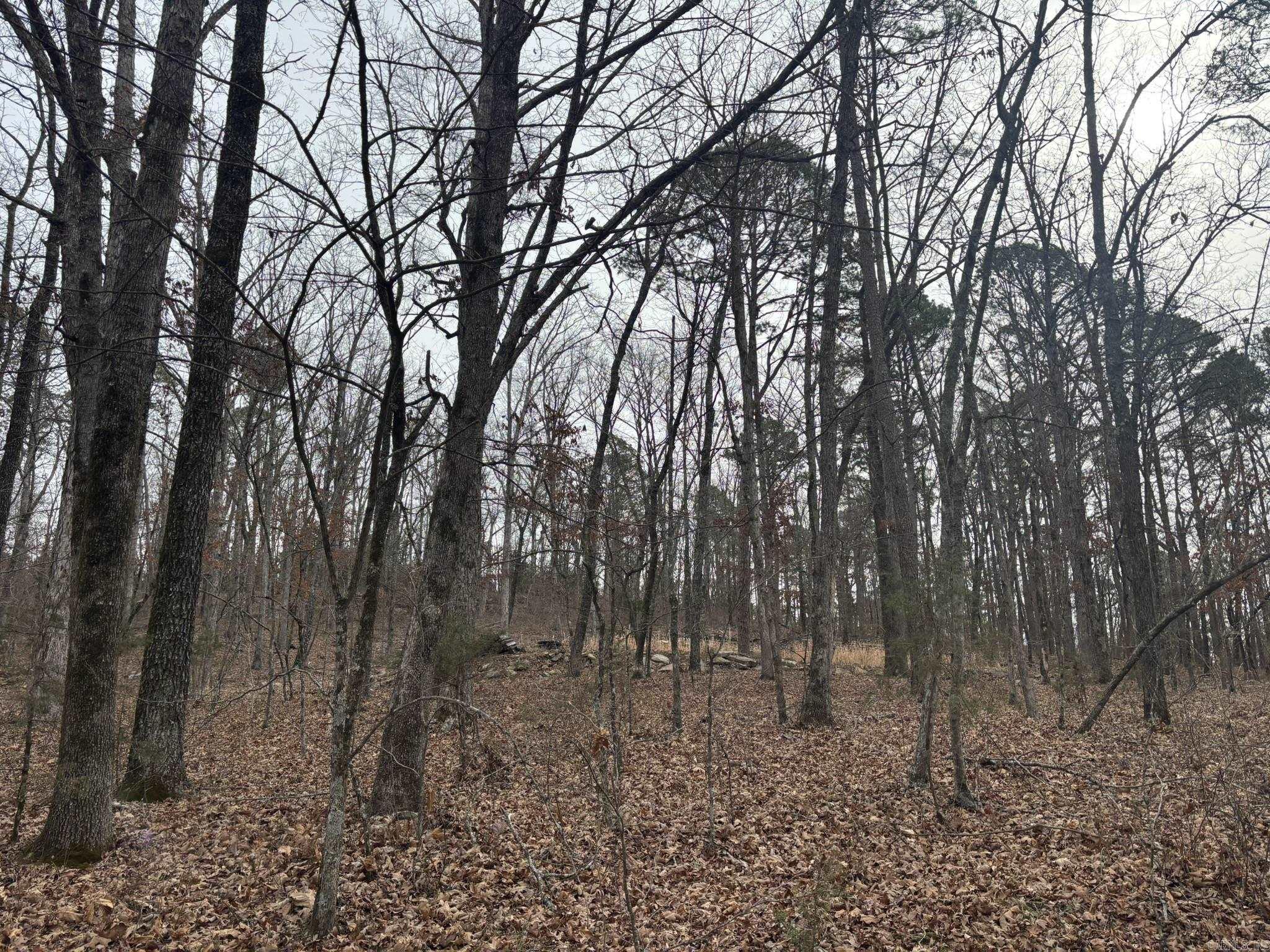 000 Edge  Clinton, AR