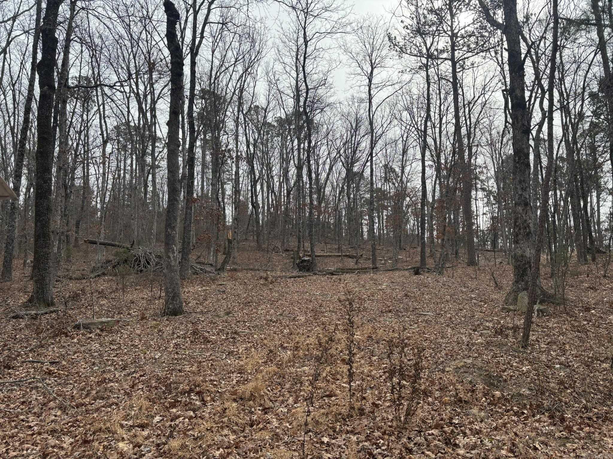 000 Edge  Clinton, AR