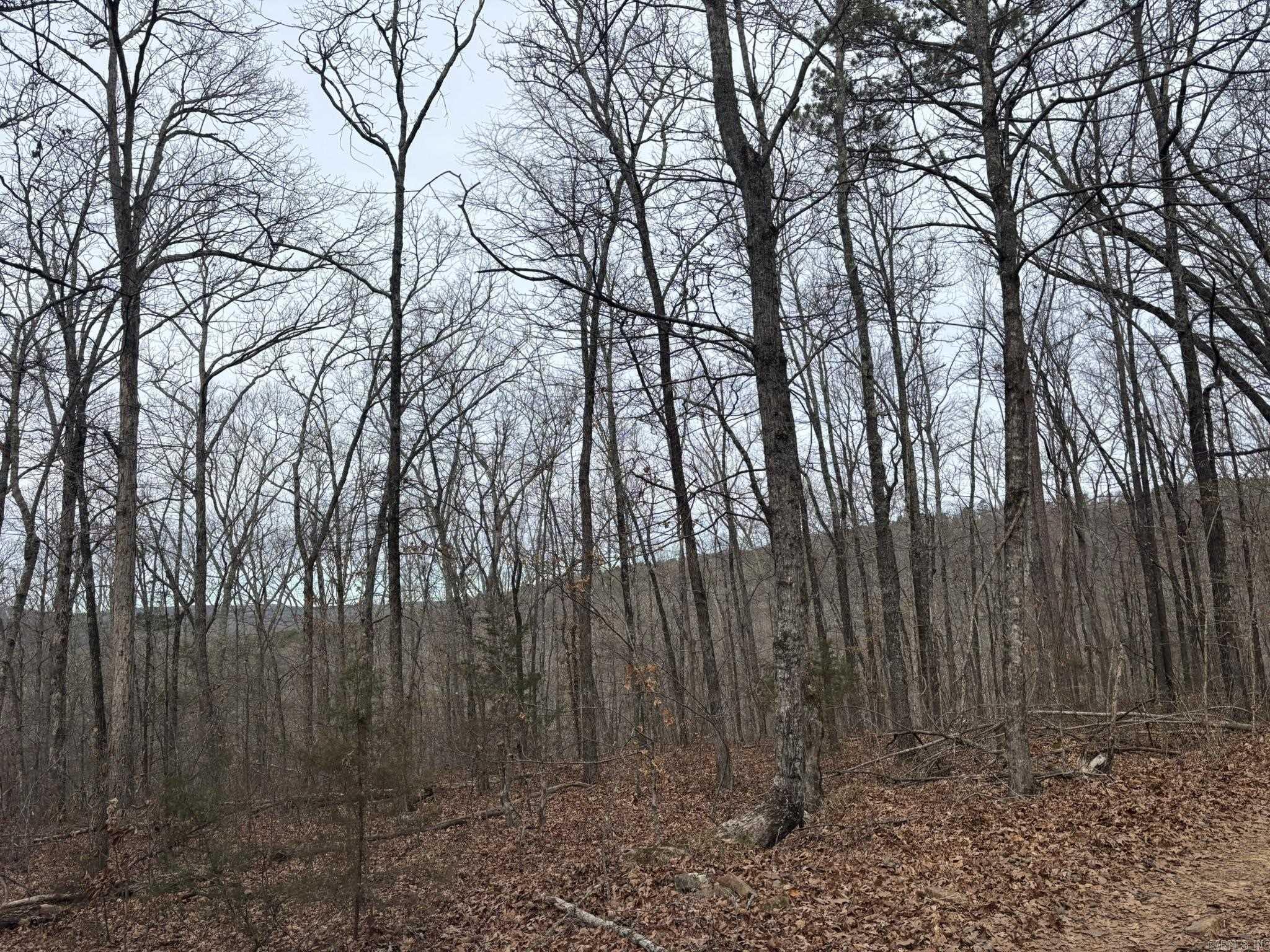 000 Edge  Clinton, AR