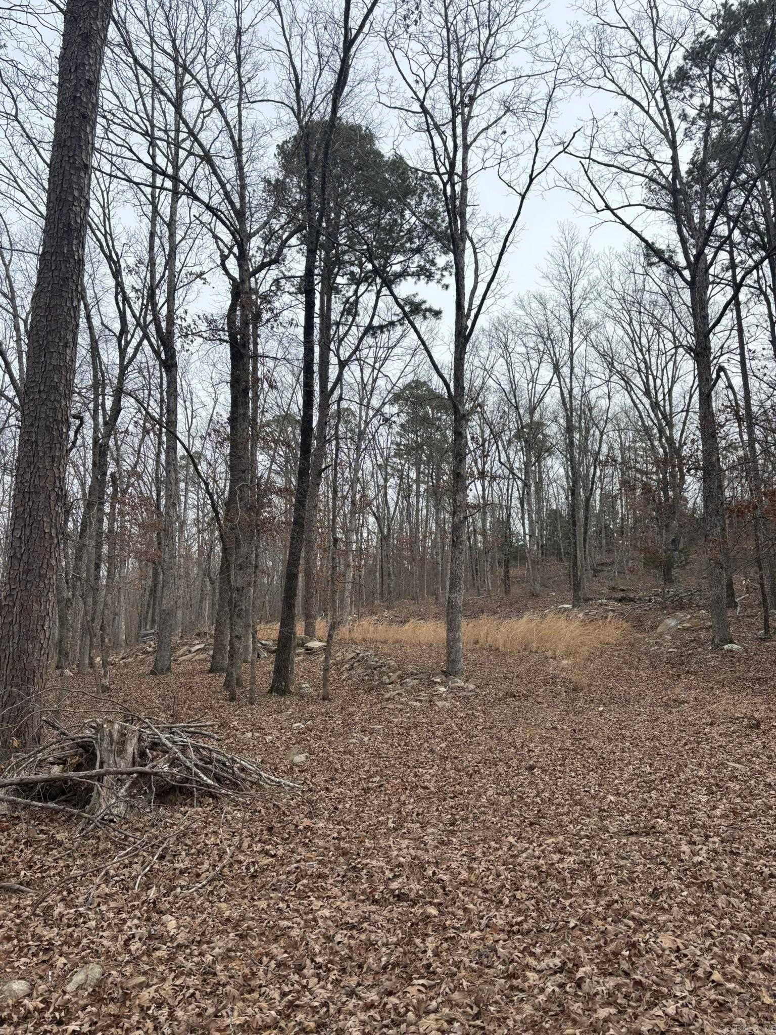 000 Edge  Clinton, AR