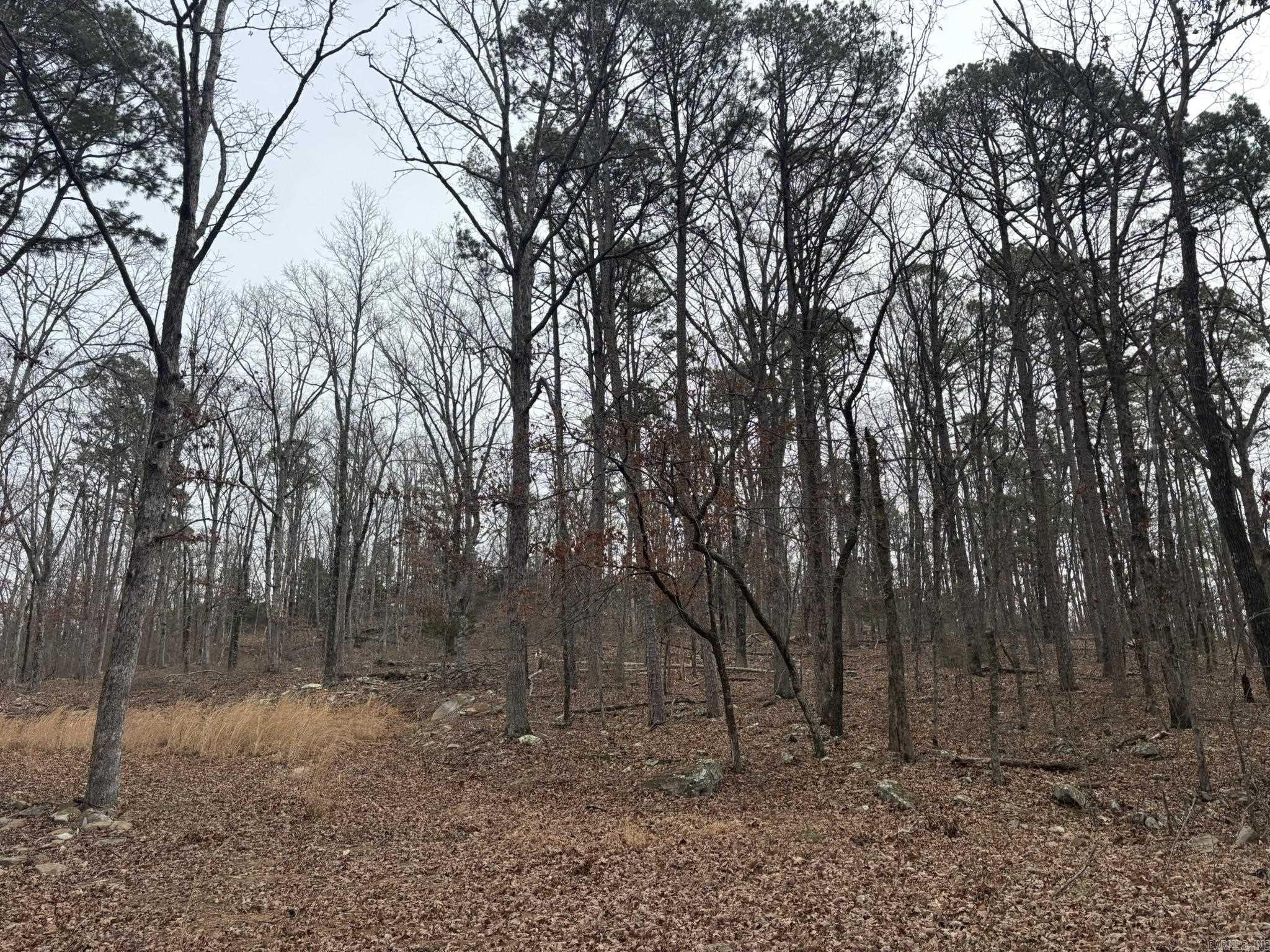 000 Edge  Clinton, AR