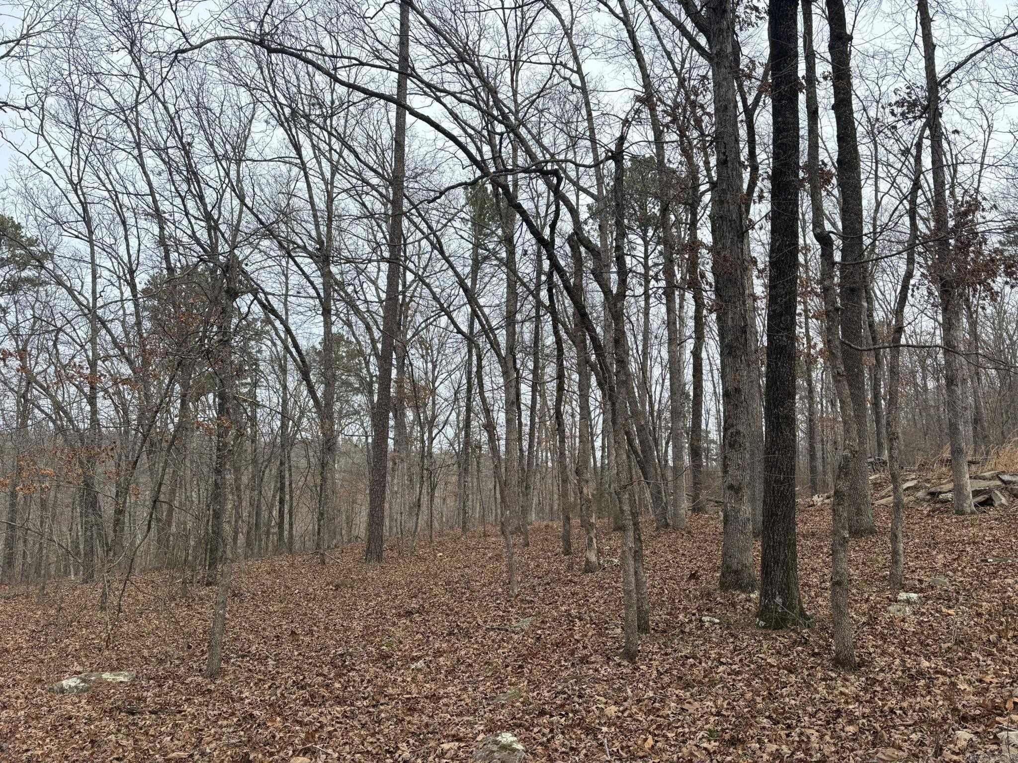 000 Edge  Clinton, AR