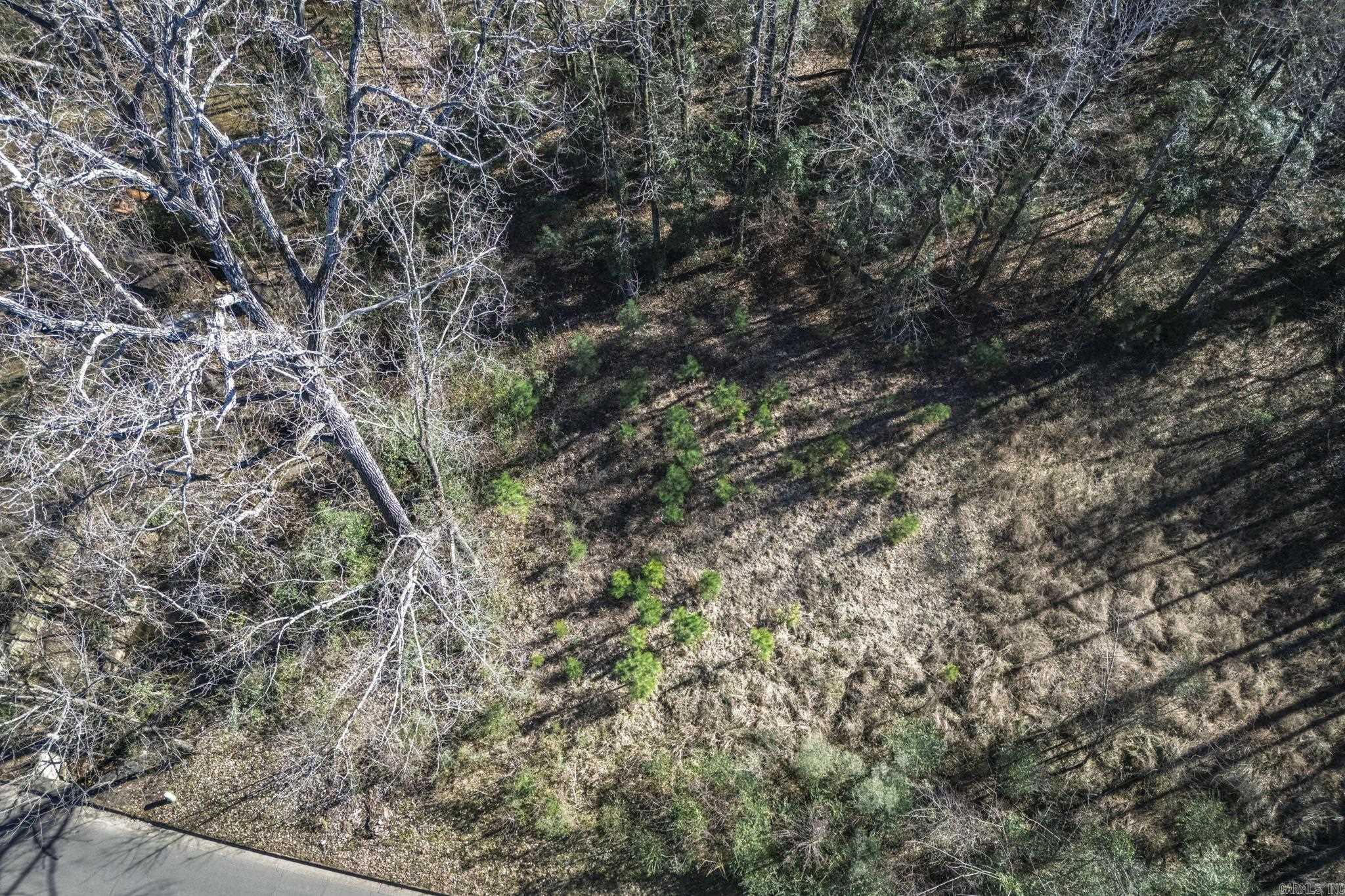 TBD North Park  Arkadelphia, AR